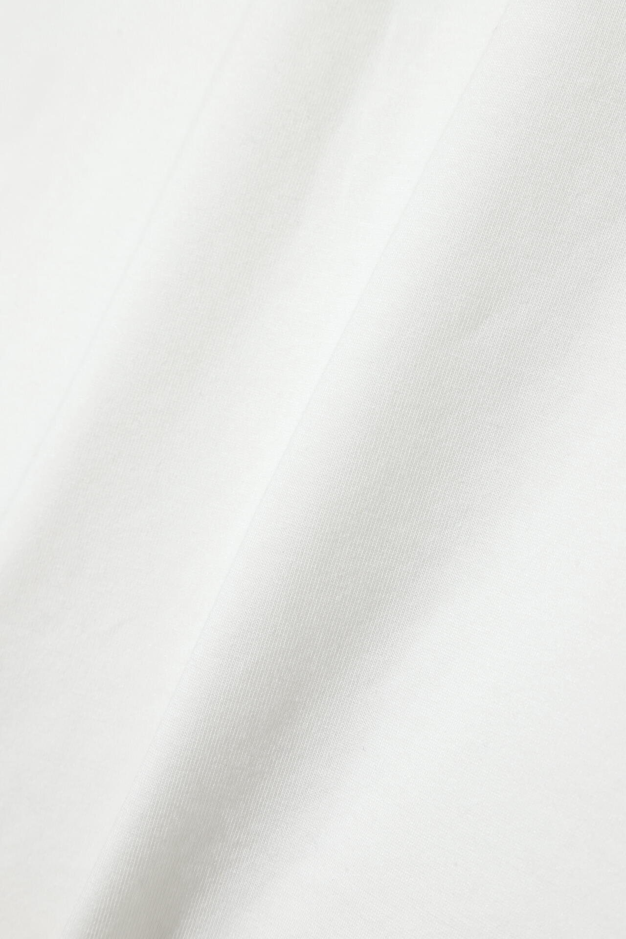 プレーティング天竺Tシャツ (MENS)