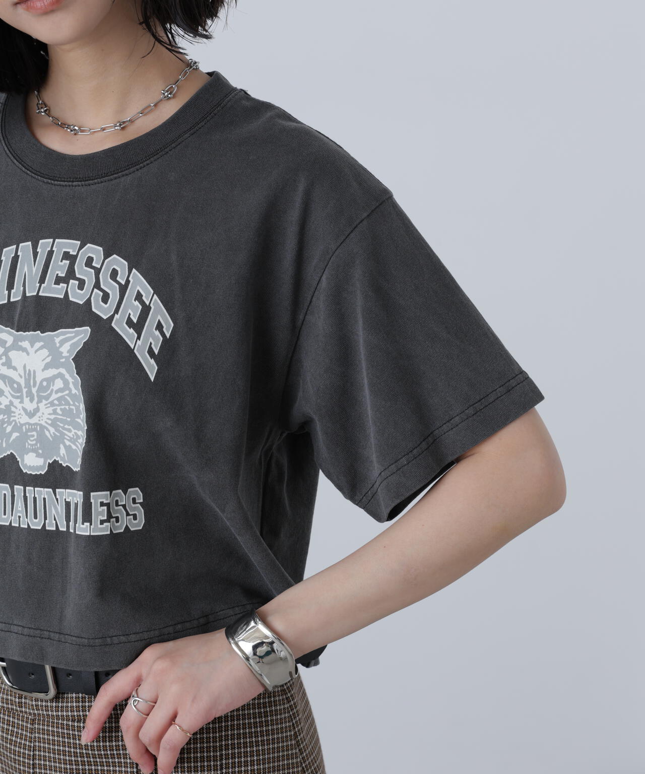〈フリーズマート別注〉テネシーリバーショート丈Tシャツ