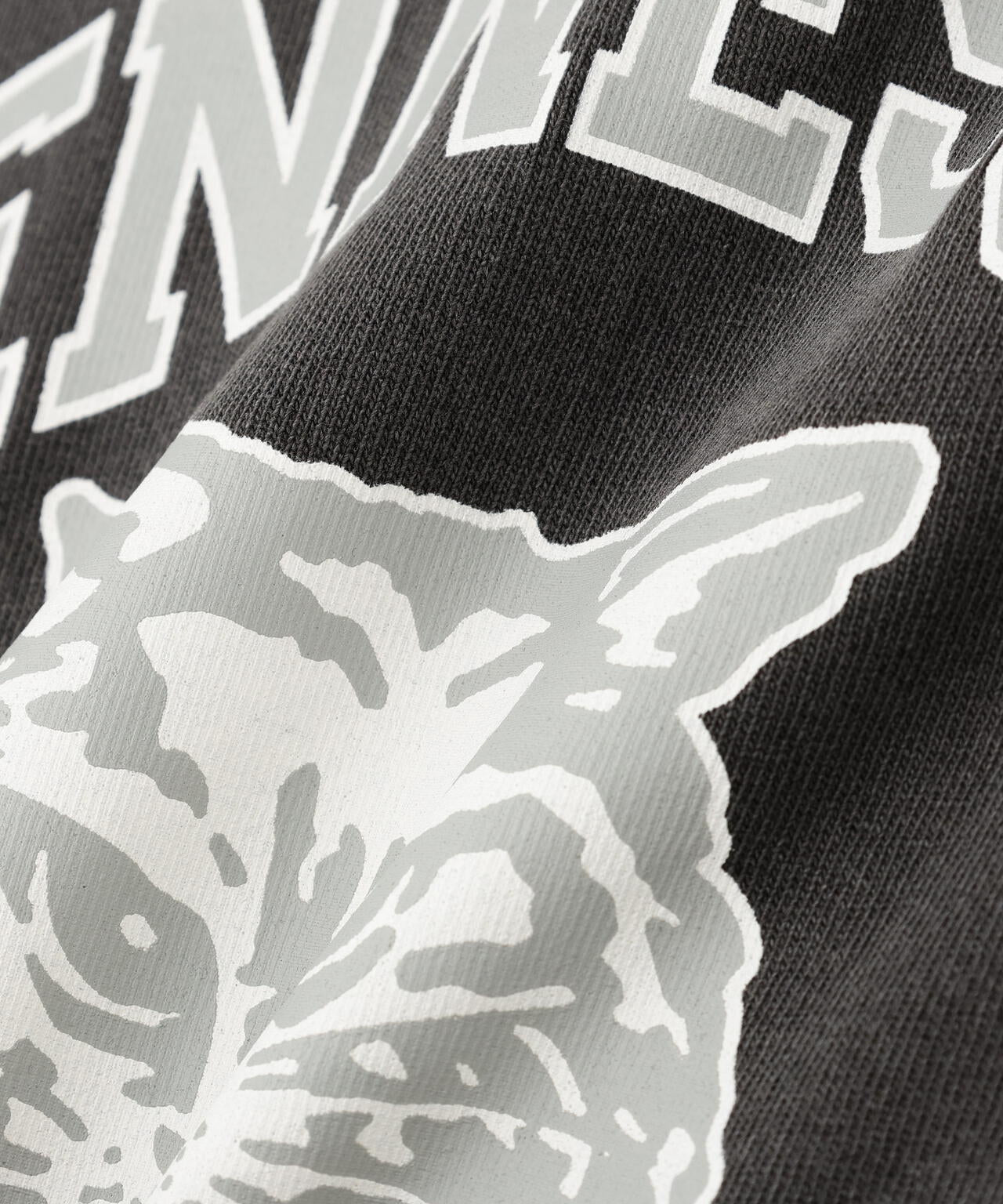 〈フリーズマート別注〉テネシーリバーショート丈Tシャツ