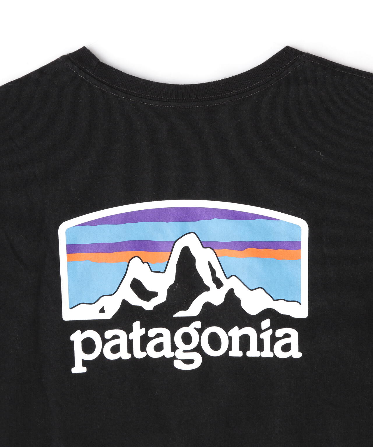 Patagonia/パタゴニア メンズ・ロングスリーブフィッツロイホライゾンズレスポンシビリティー
