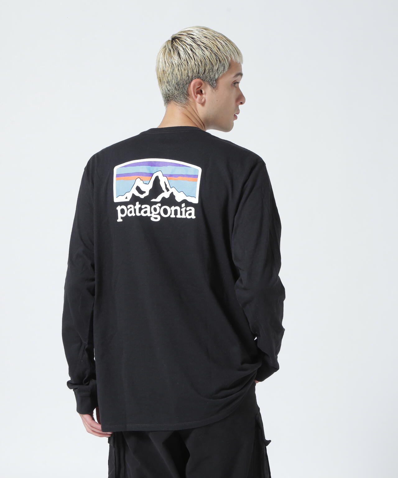 Patagonia/パタゴニア メンズ・ロングスリーブフィッツロイホライゾンズレスポンシビリティー