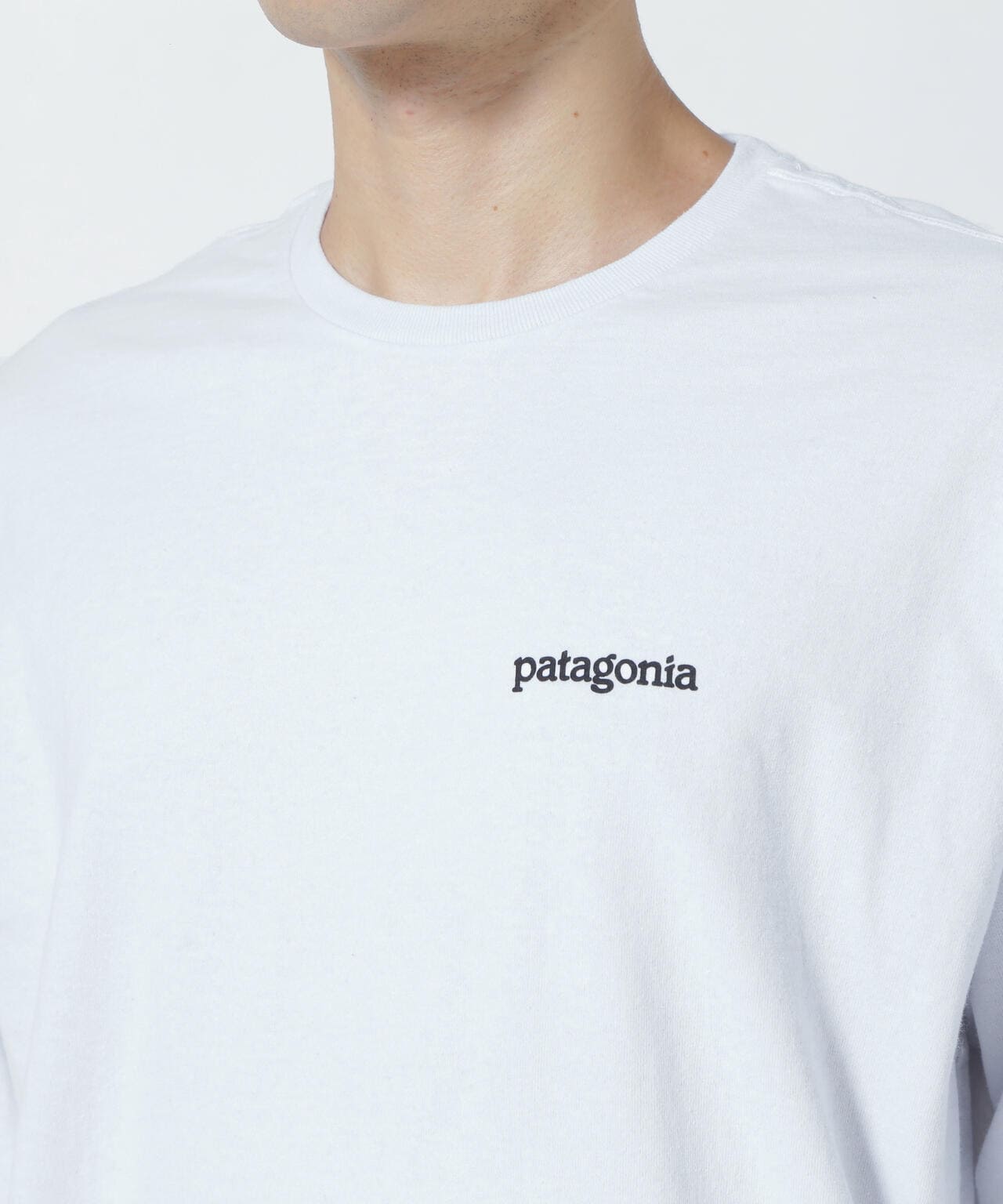 Patagonia/パタゴニア メンズ・ロングスリーブフィッツロイホライゾンズレスポンシビリティー