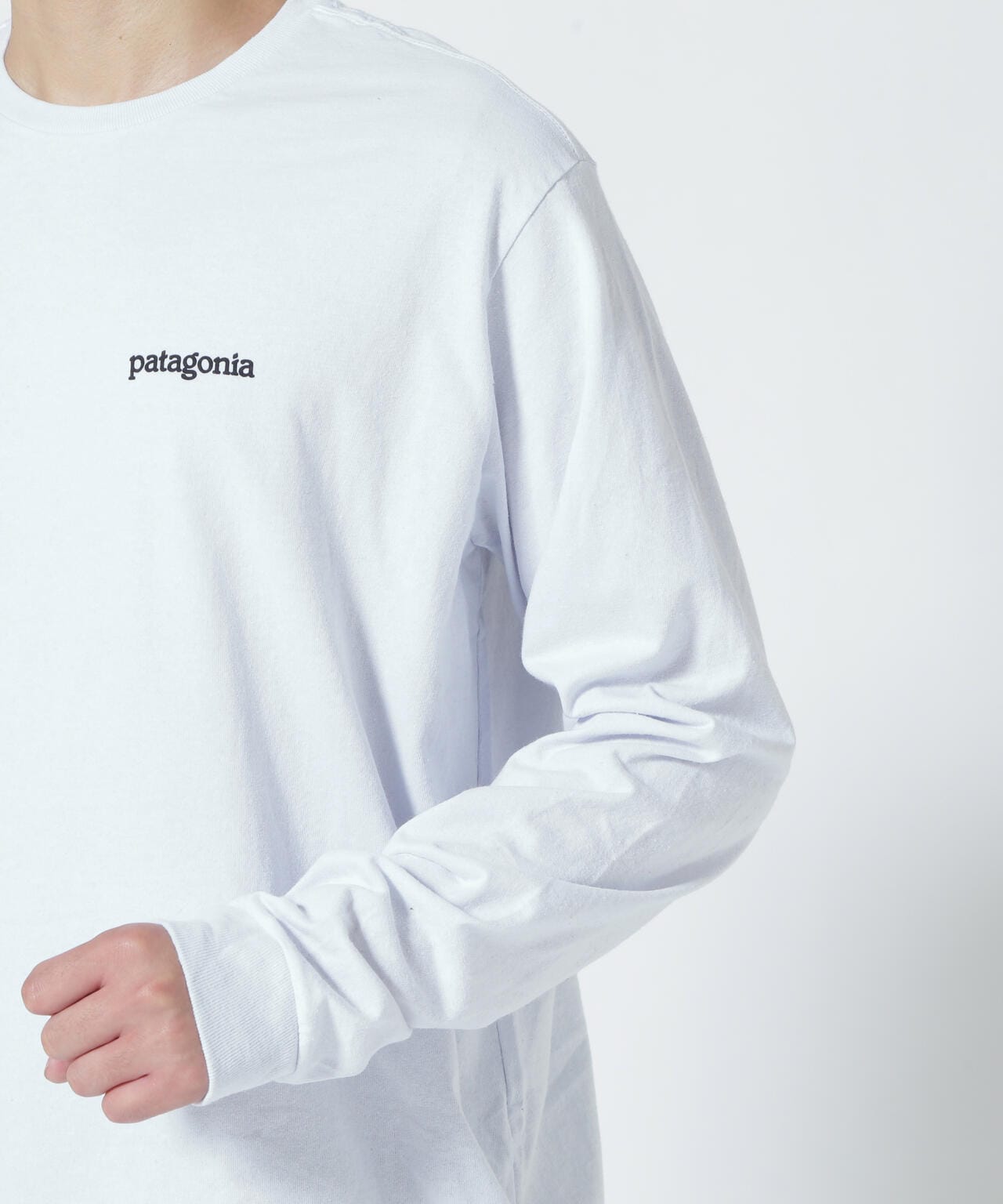 Patagonia/パタゴニア メンズ・ロングスリーブフィッツロイホライゾンズレスポンシビリティー