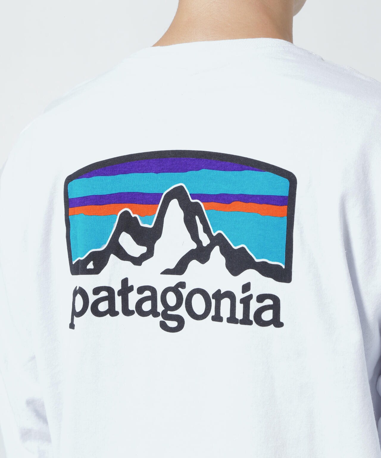 Patagonia/パタゴニア メンズ・ロングスリーブフィッツロイホライゾンズレスポンシビリティー