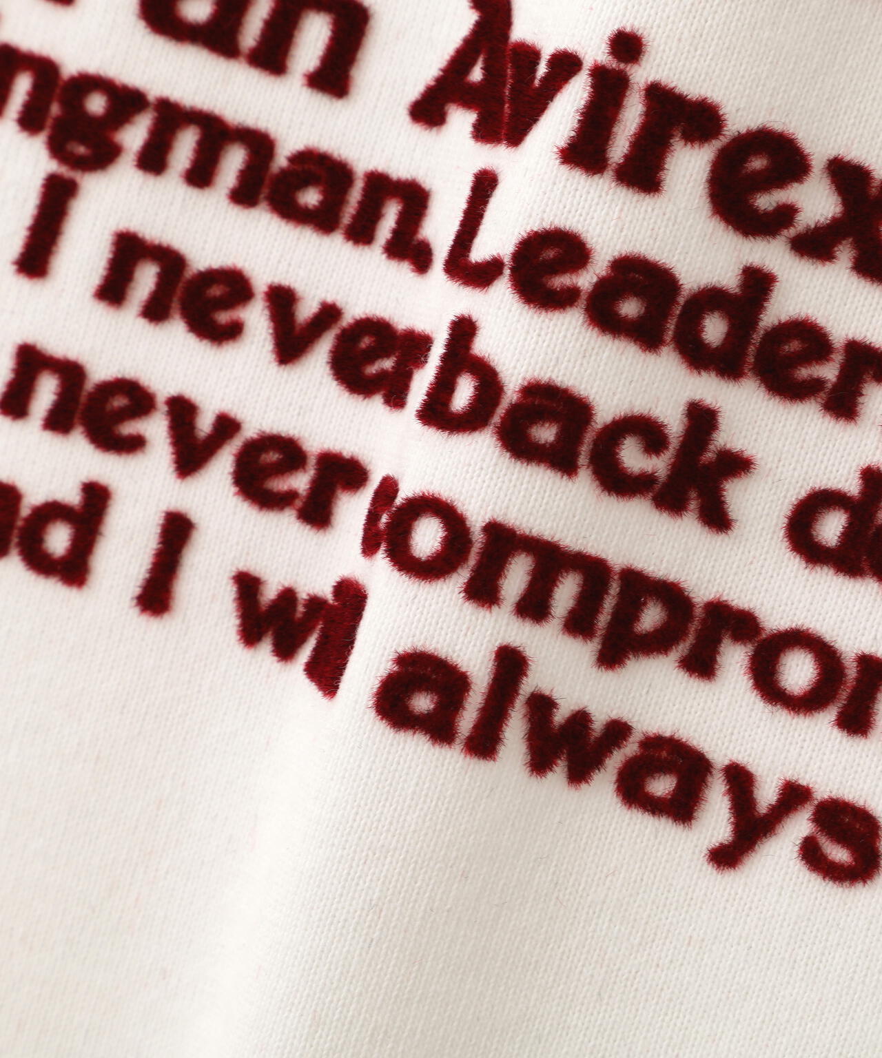 PRINT T-SHIRT ”Avirex Creed”
