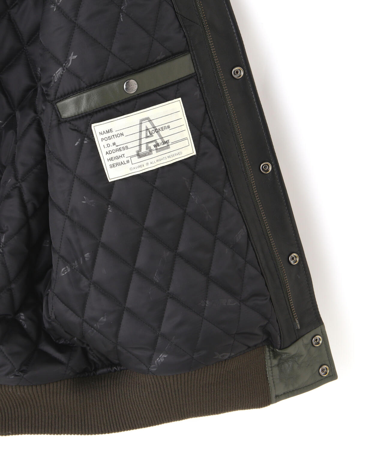STADIUM JACKET WILD BEARS