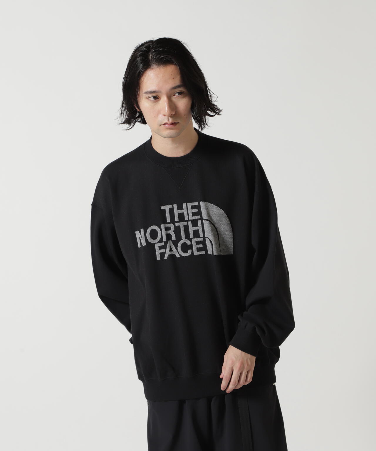 THE NORTH FACE/ザ・ノース・フェイス/Jacquard Half Dome Crew