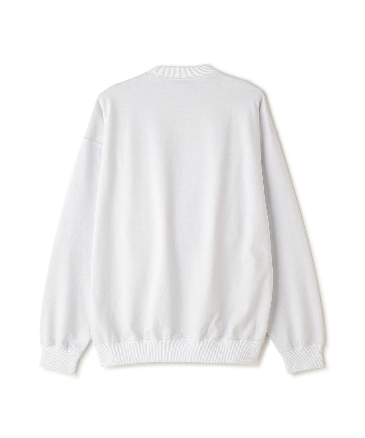 THE NORTH FACE/ザ・ノース・フェイス/Jacquard Half Dome Crew