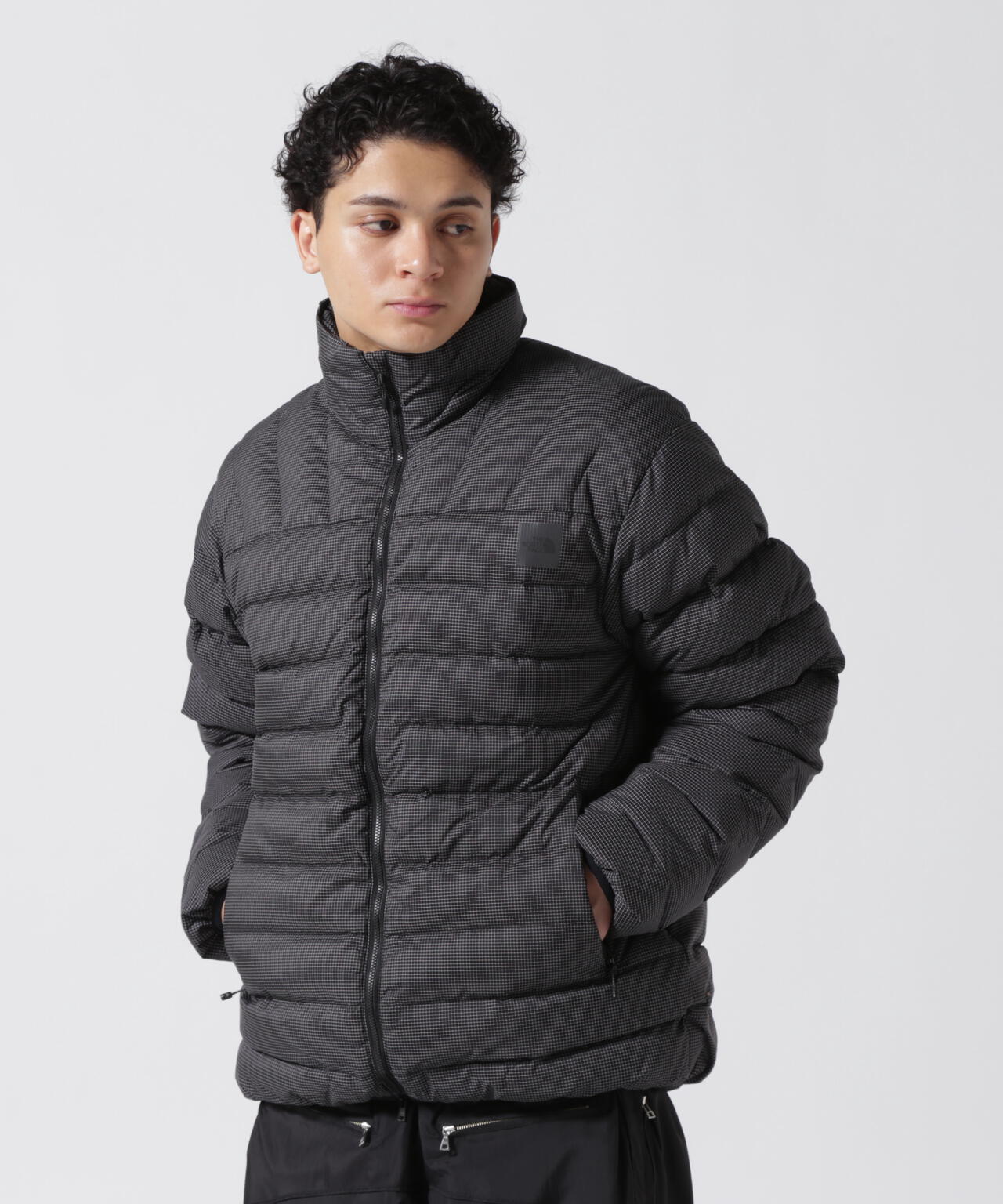 THE NORTH FACE / Enride convertible down jacket