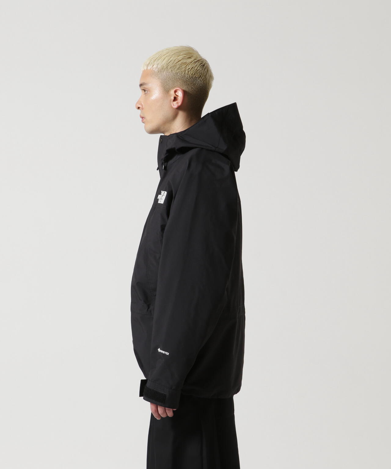 THE NORTH FACE(ザ・ノース・フェイス) Mountain Light Jacket