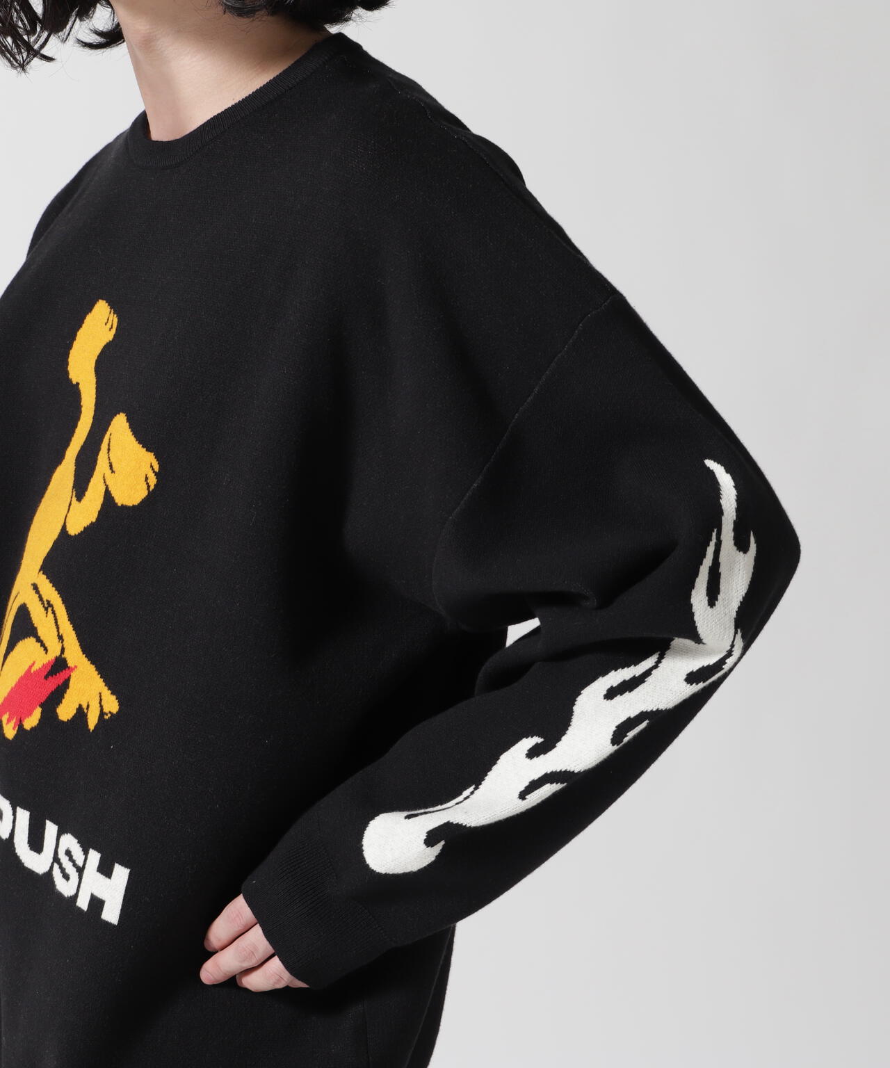 TAIN DOUBLE PUSH/タインダブルプッシュ/Exc. CREW KNIT