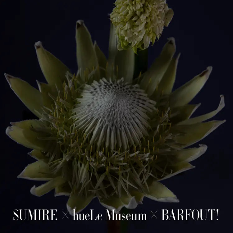 Creative Communication Labo Vol.02 “纏う” SUMIRE  バァフアウト！｜hueLe Museum｜