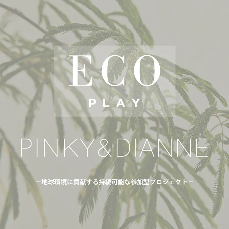 ECO PLAY 店舗限定衣料回収キャンペーン｜PINKY&DIANNE｜