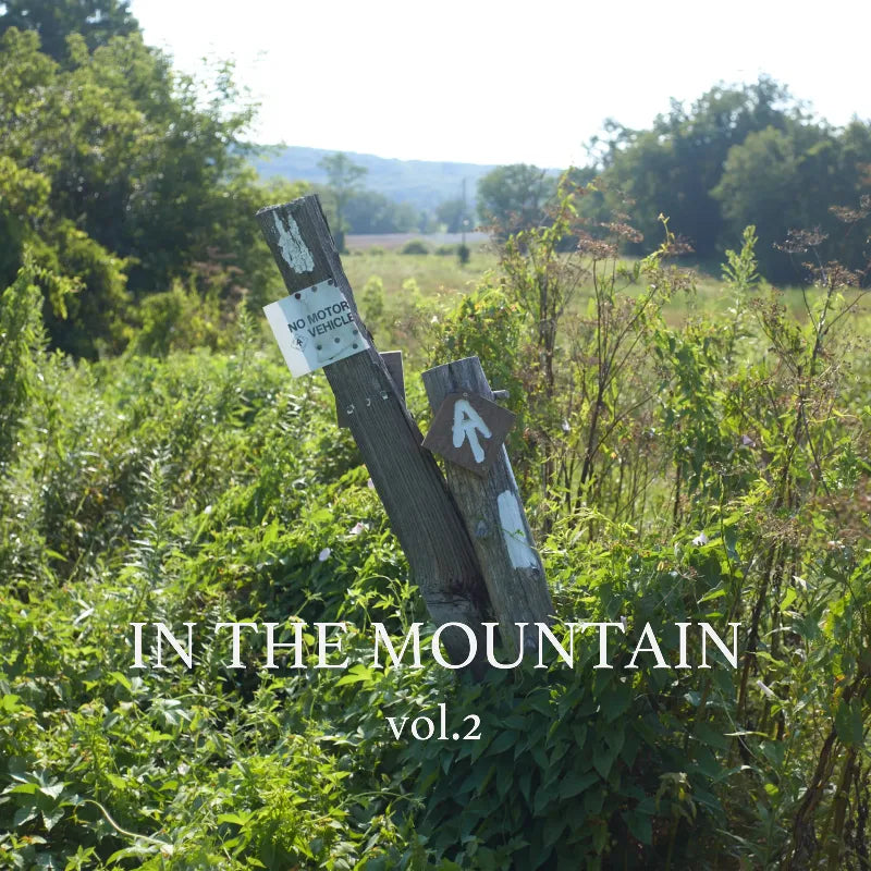 IN THE MOUNTAIN vol.2｜and wander｜