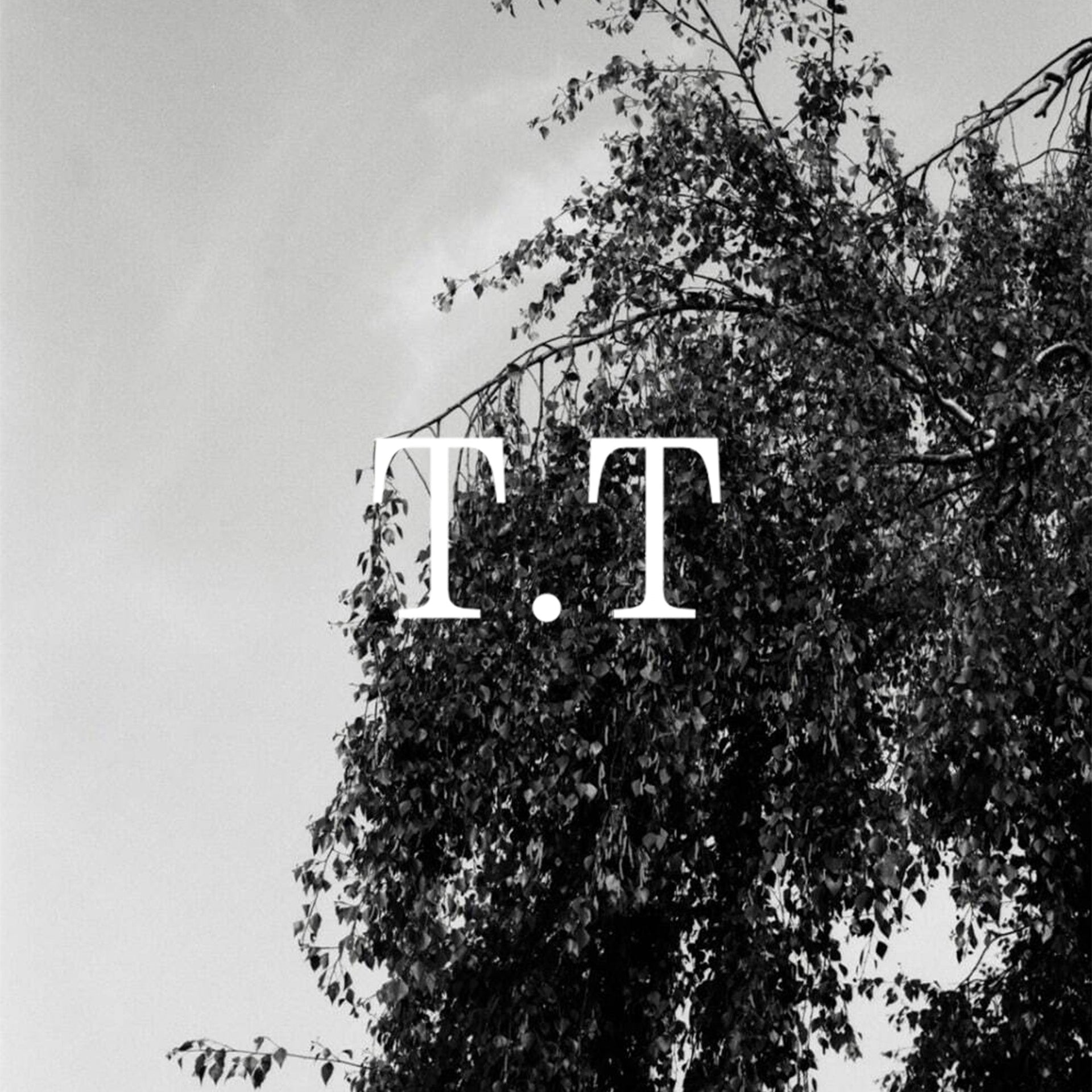 【T.T】- 26ss collection - 「未来は過去にある」｜GARDEN｜