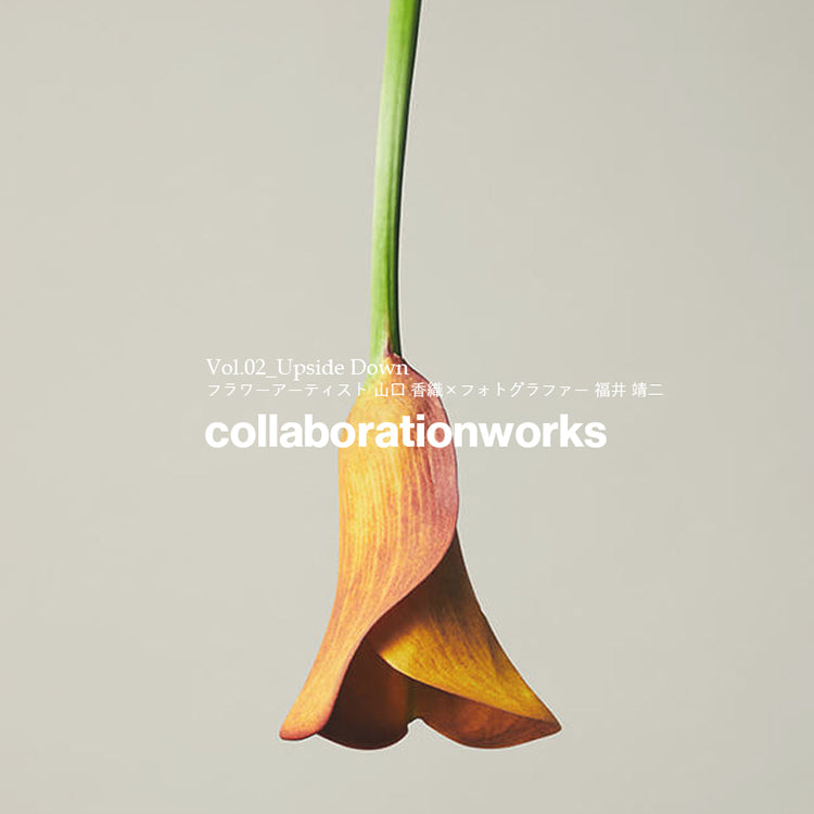 Collaboration Works Vol.02 - Upside Down - Kaori Yamaguchi × Yasutsugu Fukui ｜hueLe Museum｜