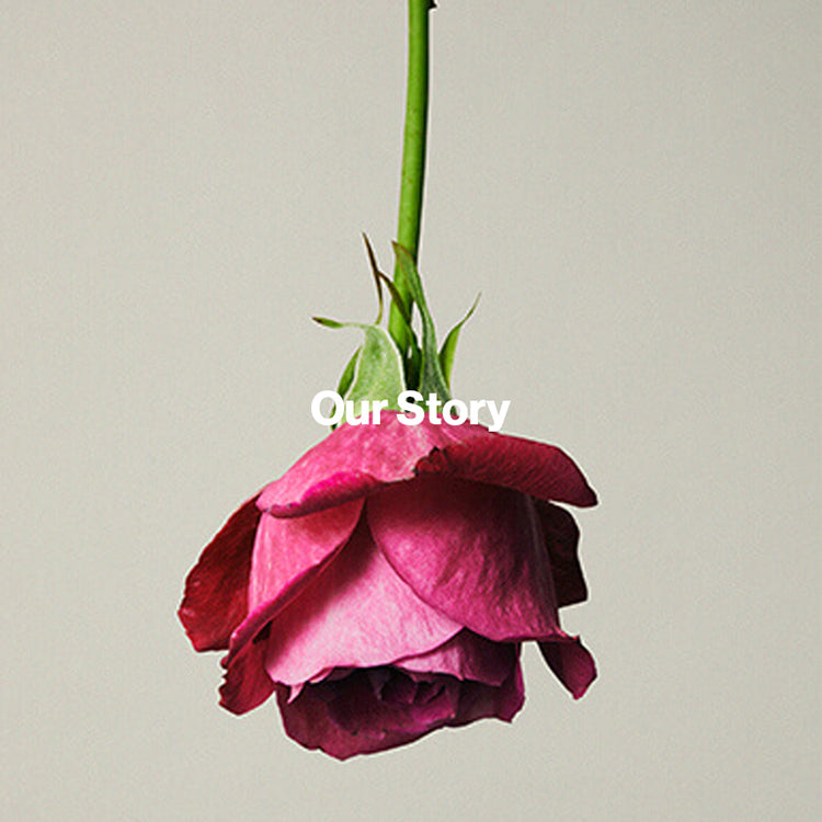 Prologue Hue of Flora｜hueLe Museum｜
