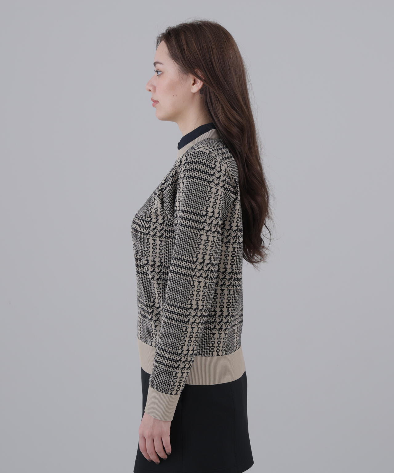 14Gホースビットチェックジャガードプルオーバーニット (WOMENS)