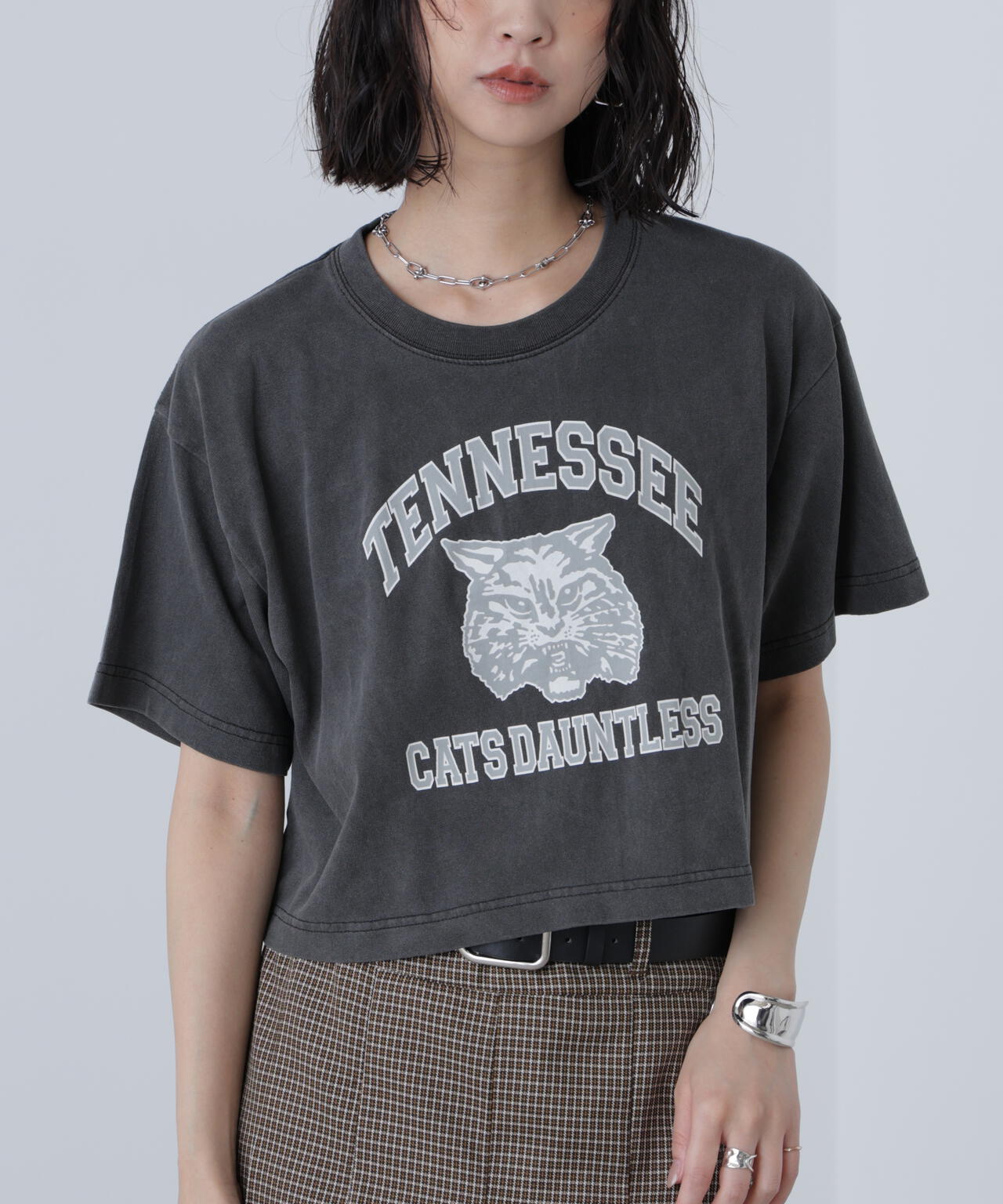 〈フリーズマート別注〉テネシーリバーショート丈Tシャツ