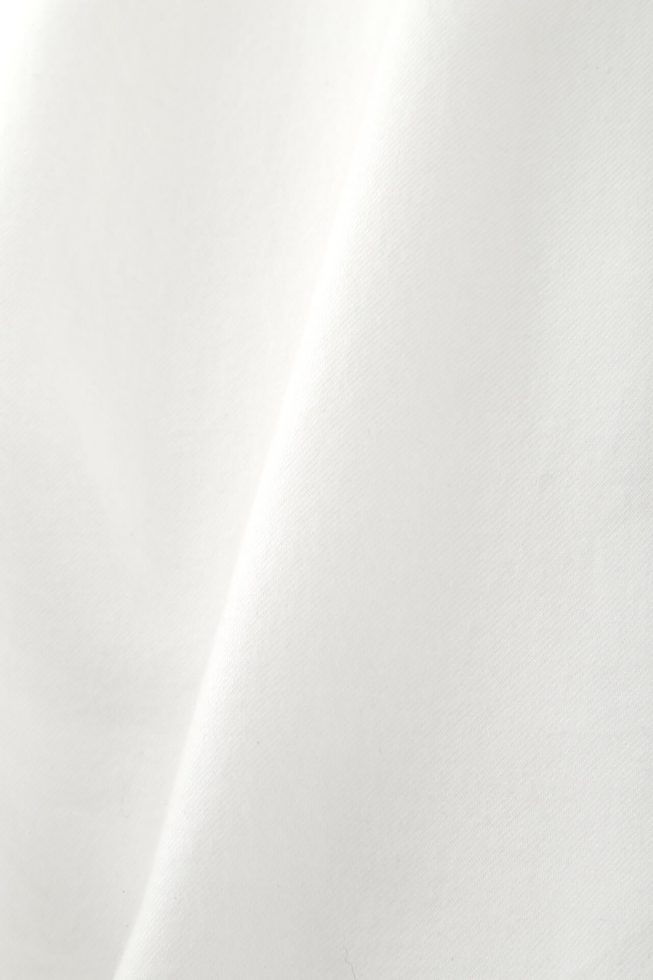 Ｙ / ORGANIC COTTON / TENCEL BRUSHED TWILL SH