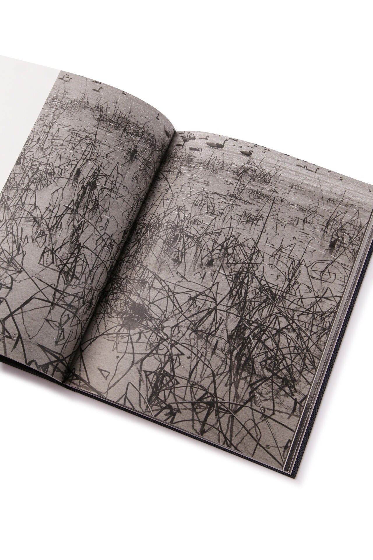 Des Oiseaux / Byung-Hun Min