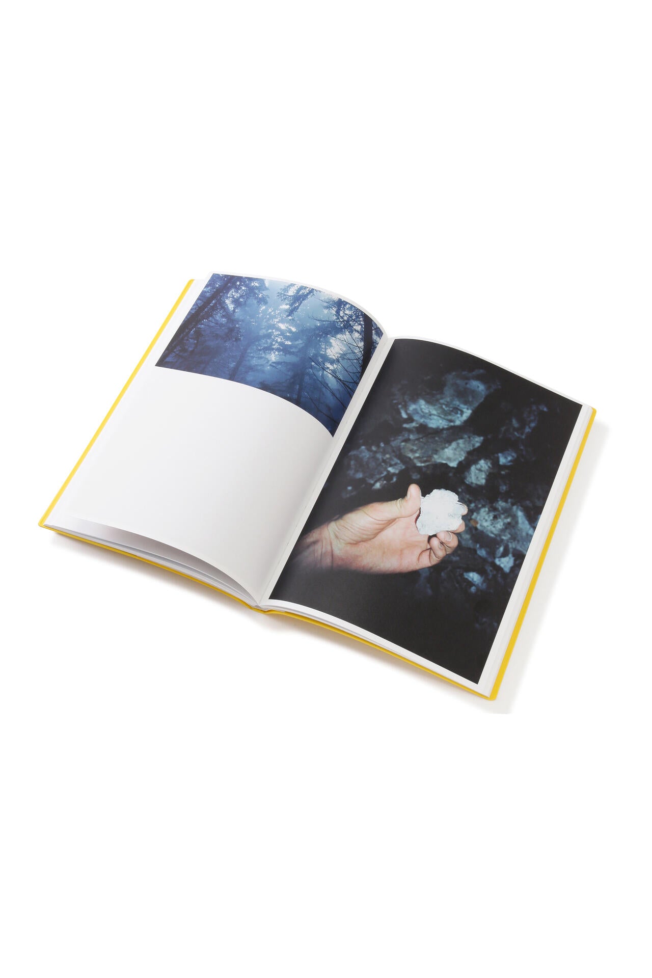 THE ARSENIC EATERS / Simon Brugner