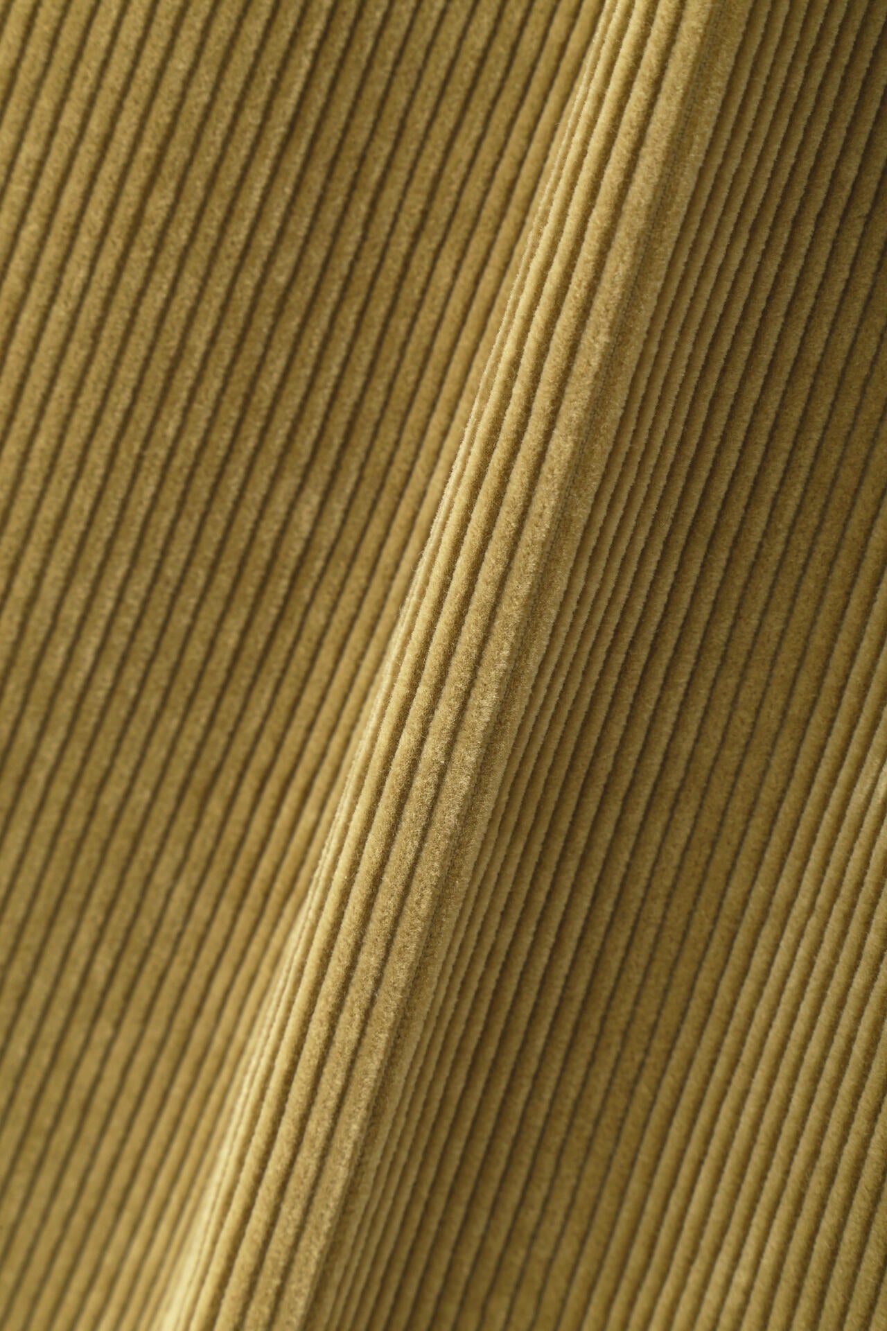 YLEVE / COTTON CORDUROY TR