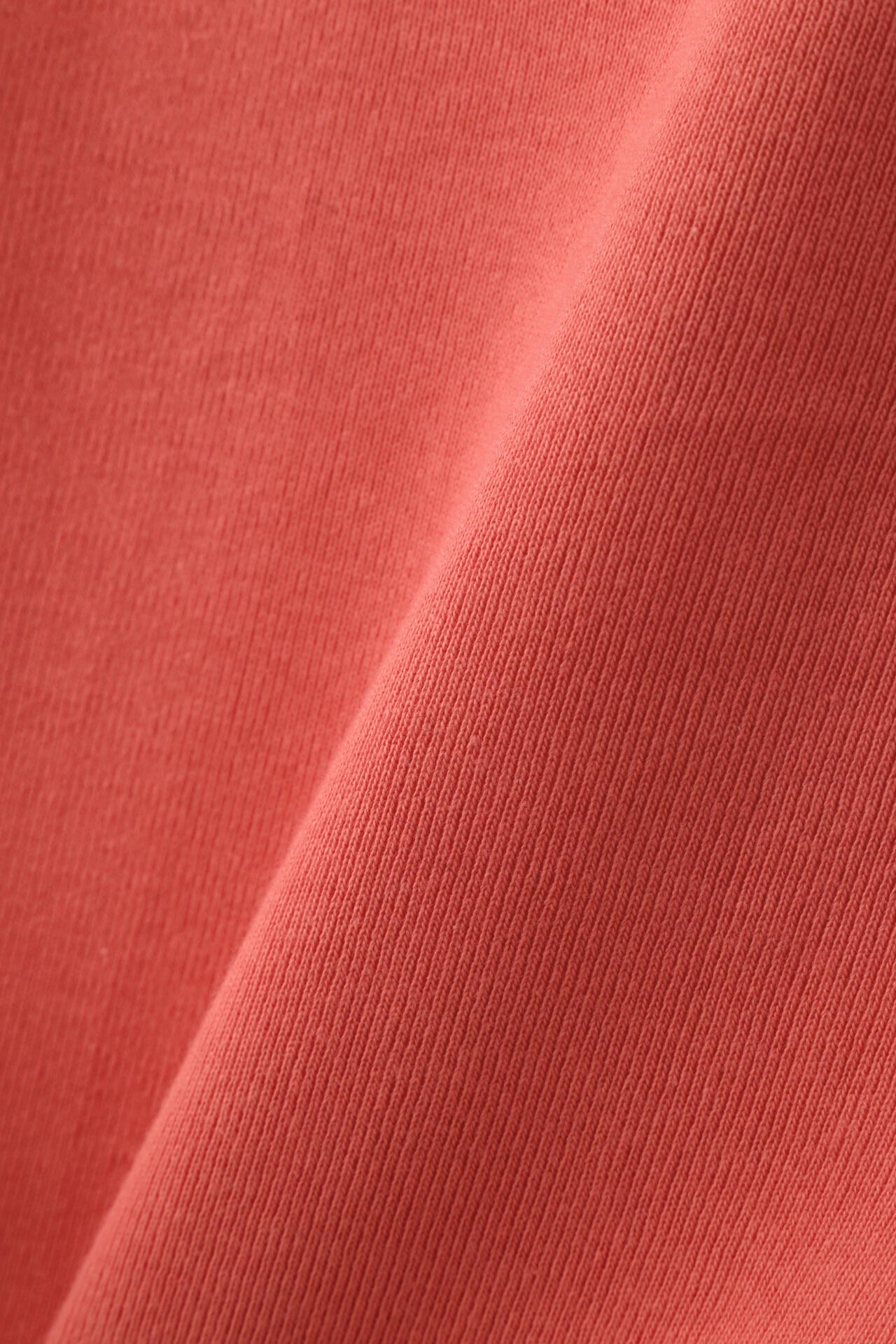 YLEVE / COTTON RIB PULLOVER