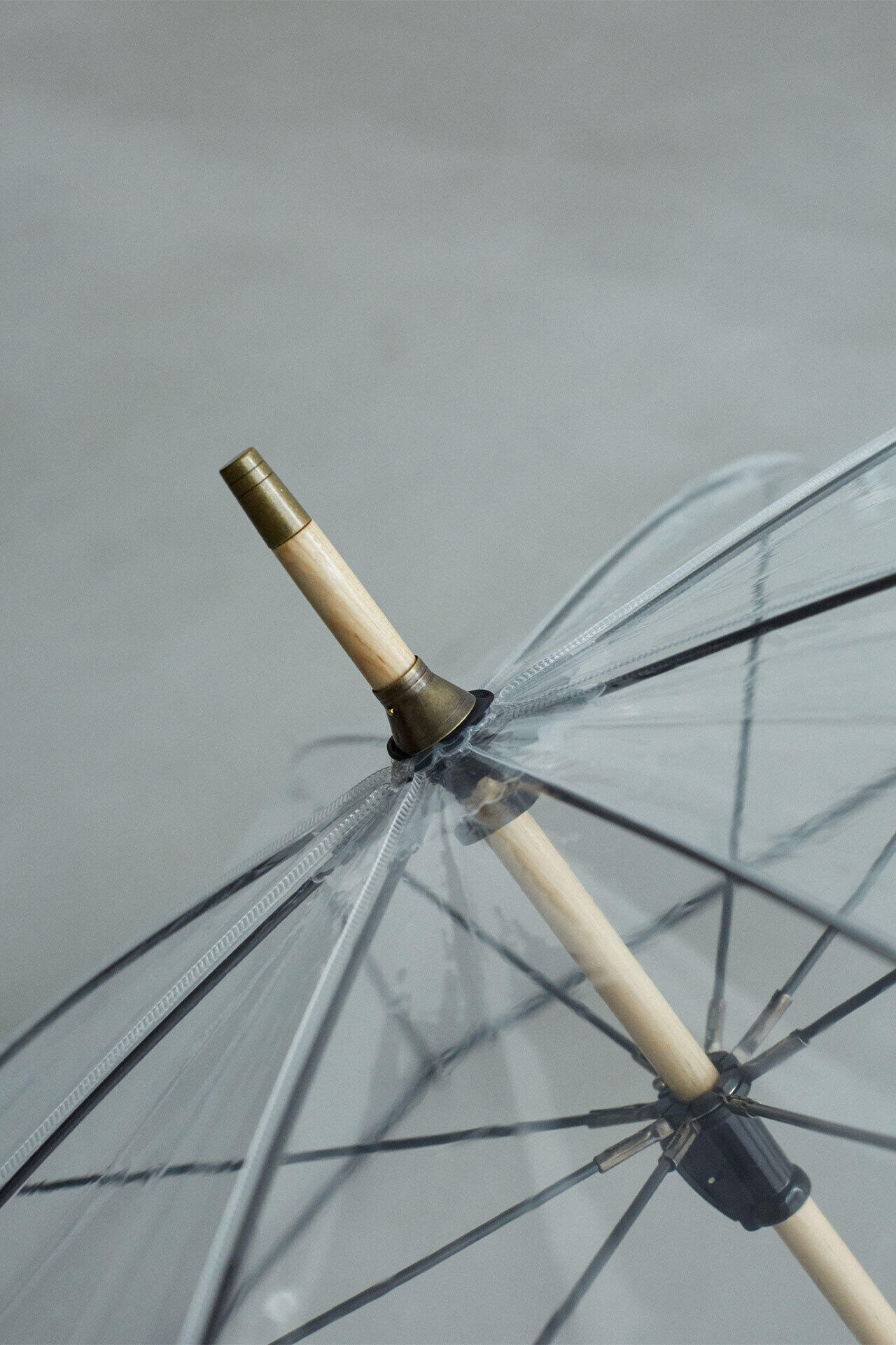 YLEVE / WHITE ROSE UMBRELLA