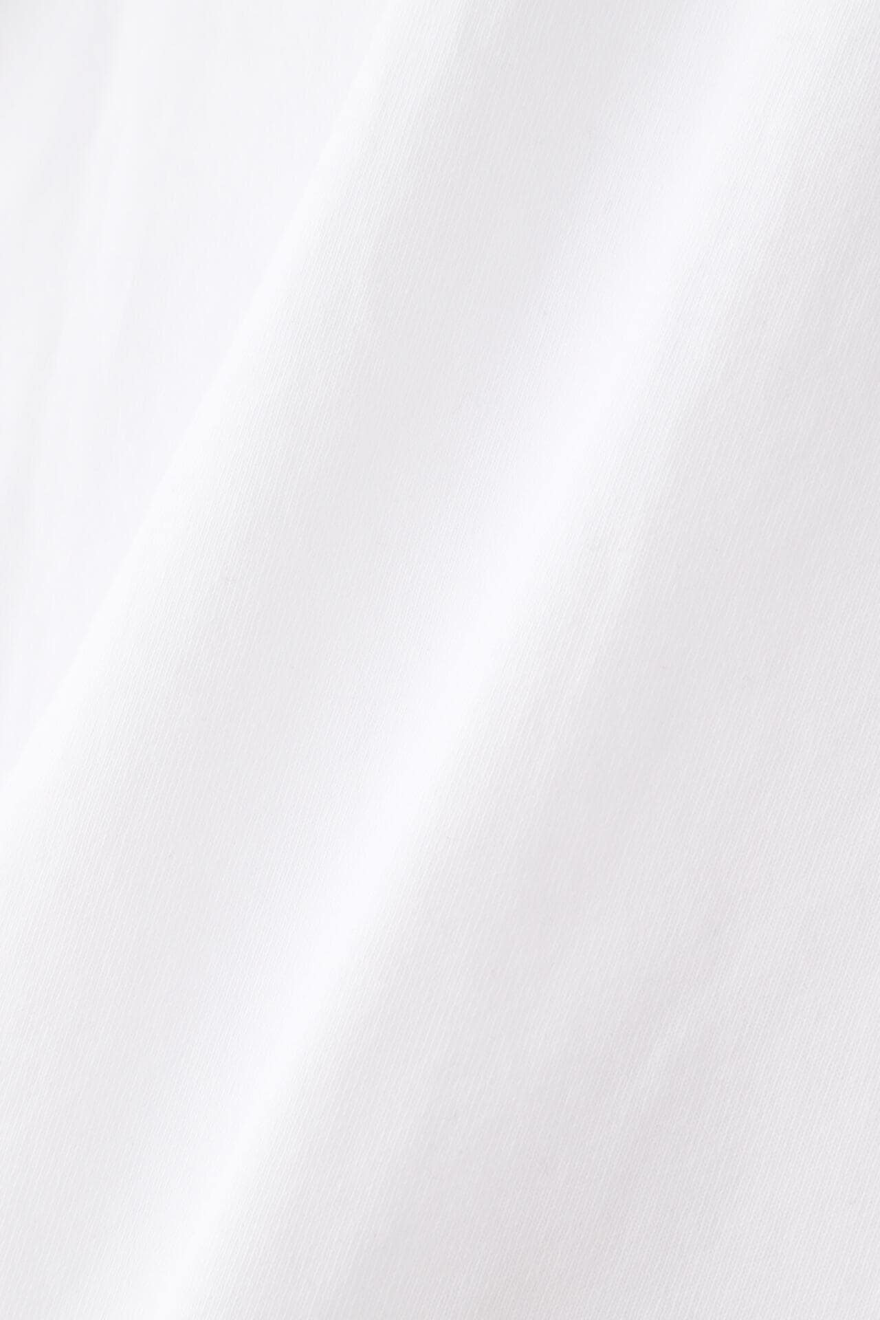 STUDIO NICHOLSON / DRY HEAVY COTTON ZIP THROUGH ROLL NECK