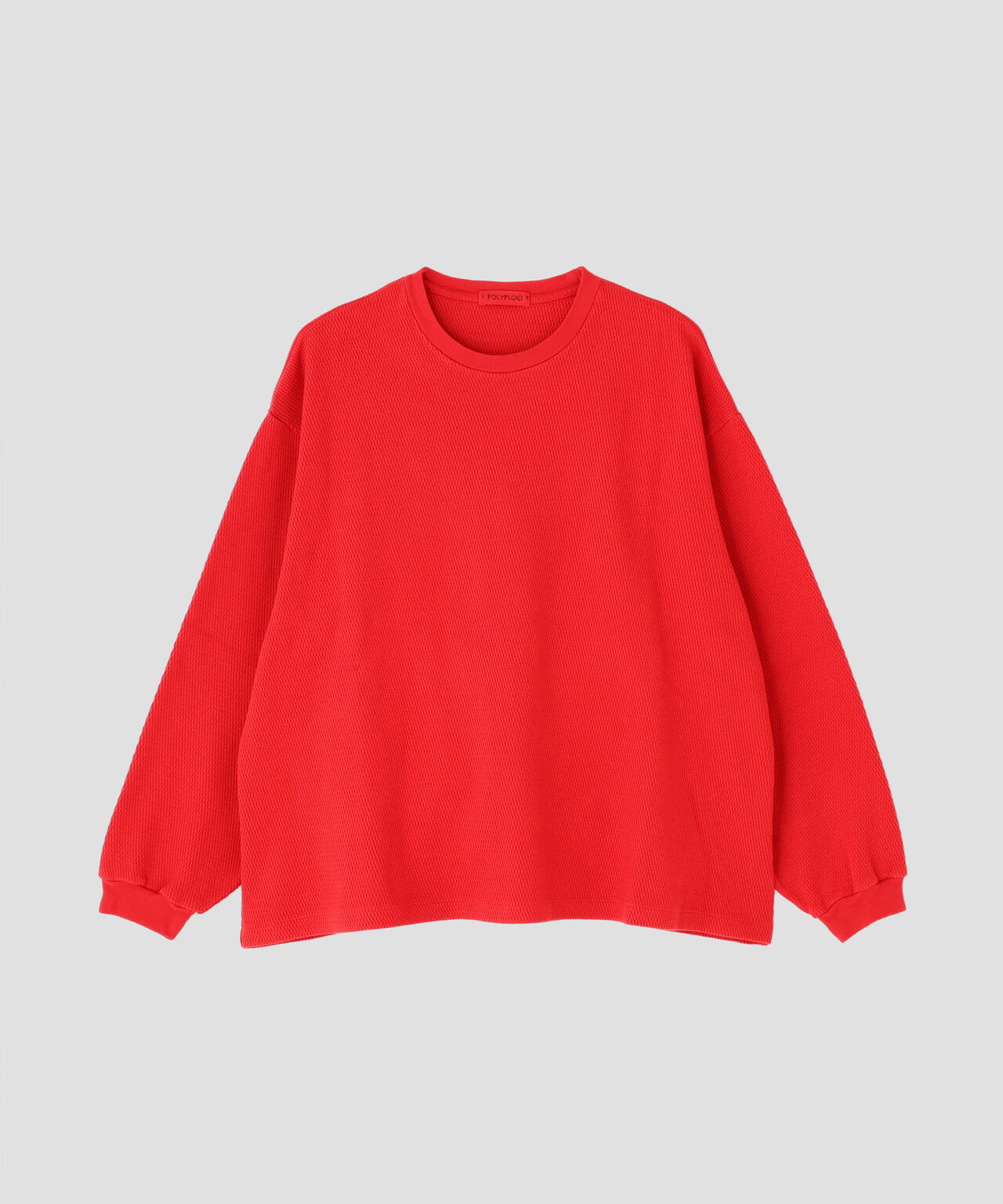 POLYPLOID / OVERSIZE LONGSLEEVE C
