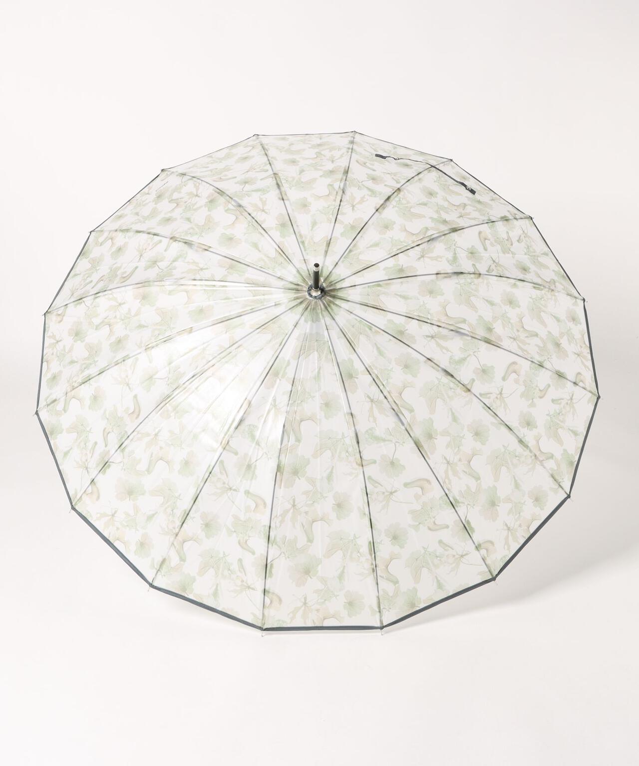 memorif. 花びらき 55cm