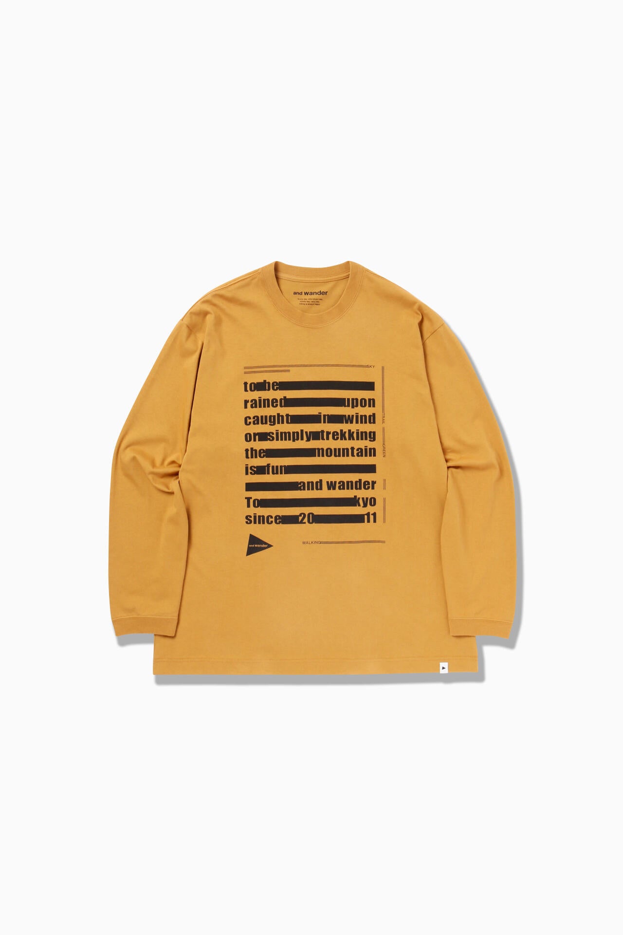 typography printed  LS T