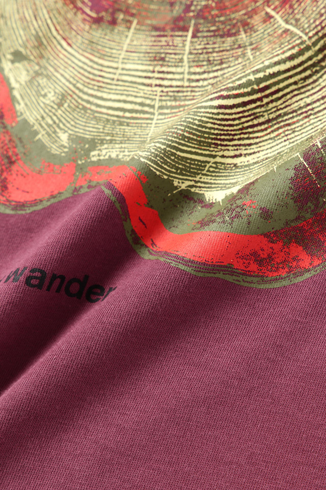 WANDERING printed T