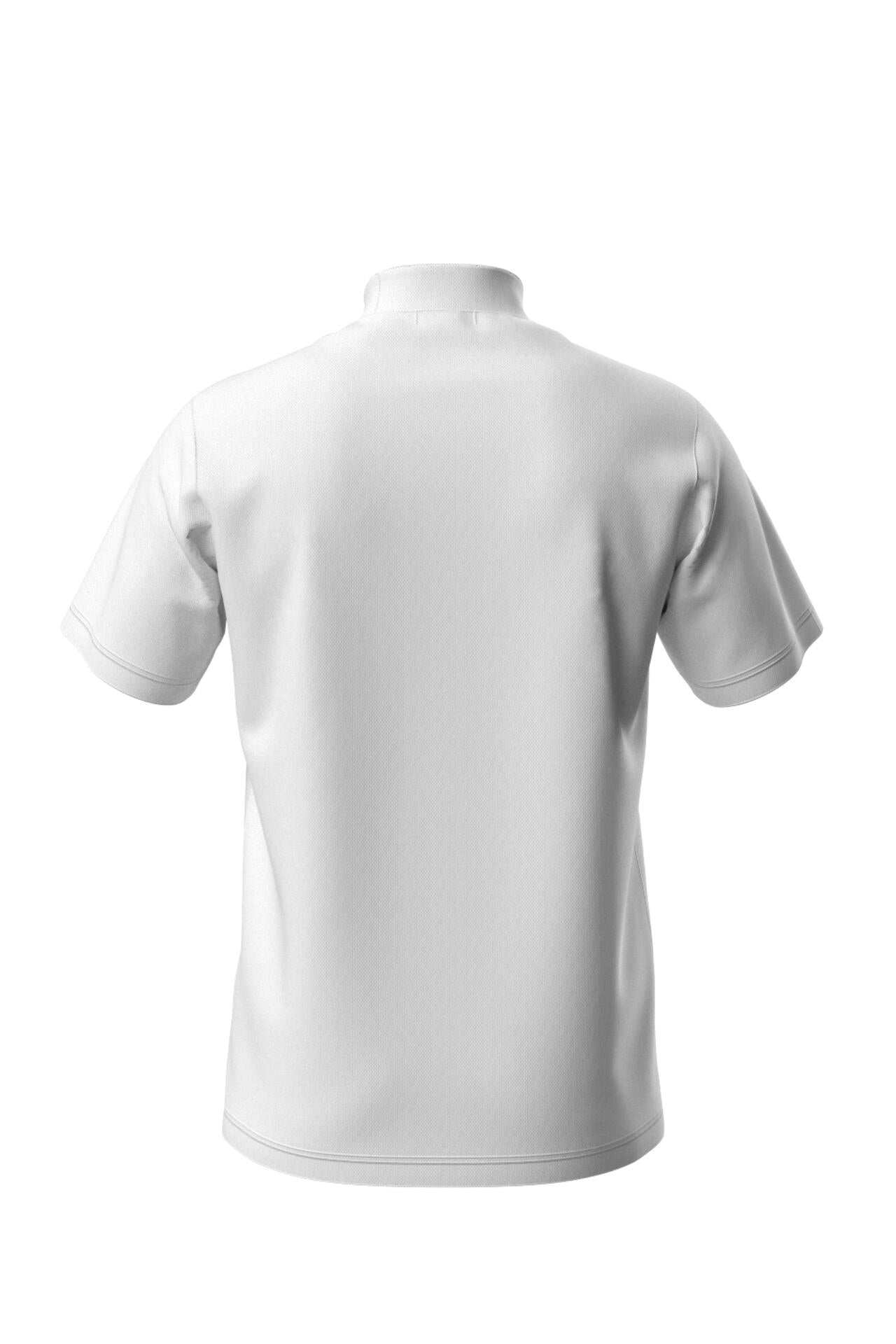 【PING APPAREL】ダブルメッシ半袖ハイネックカットソー ＜EARLY SPRING＞ (MENS)