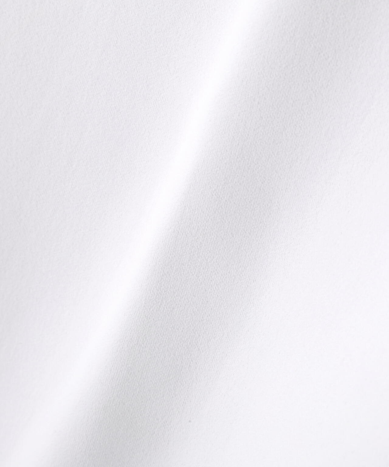 【PING APPAREL】ANSERプリントストレッチダンボール長袖ハイネックシャツ (MENS)