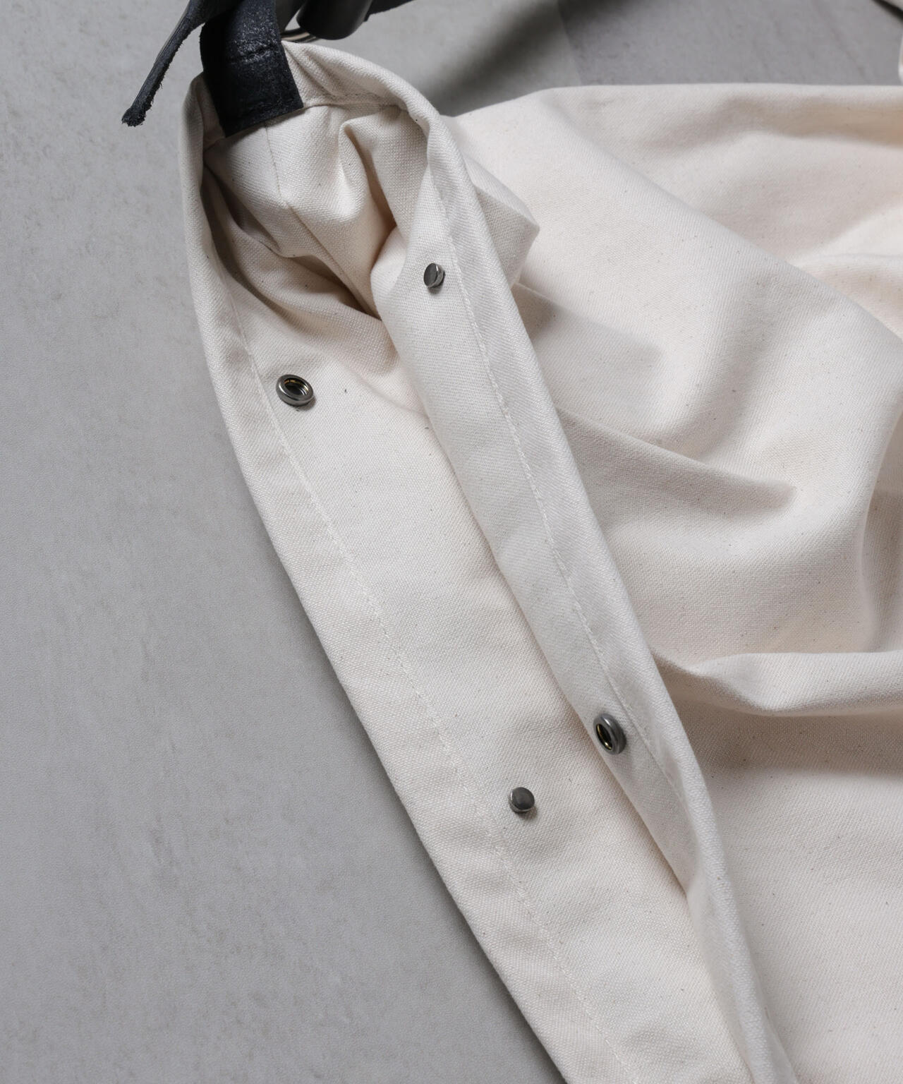 ｢tagAlong｣butterfly canvas logo L