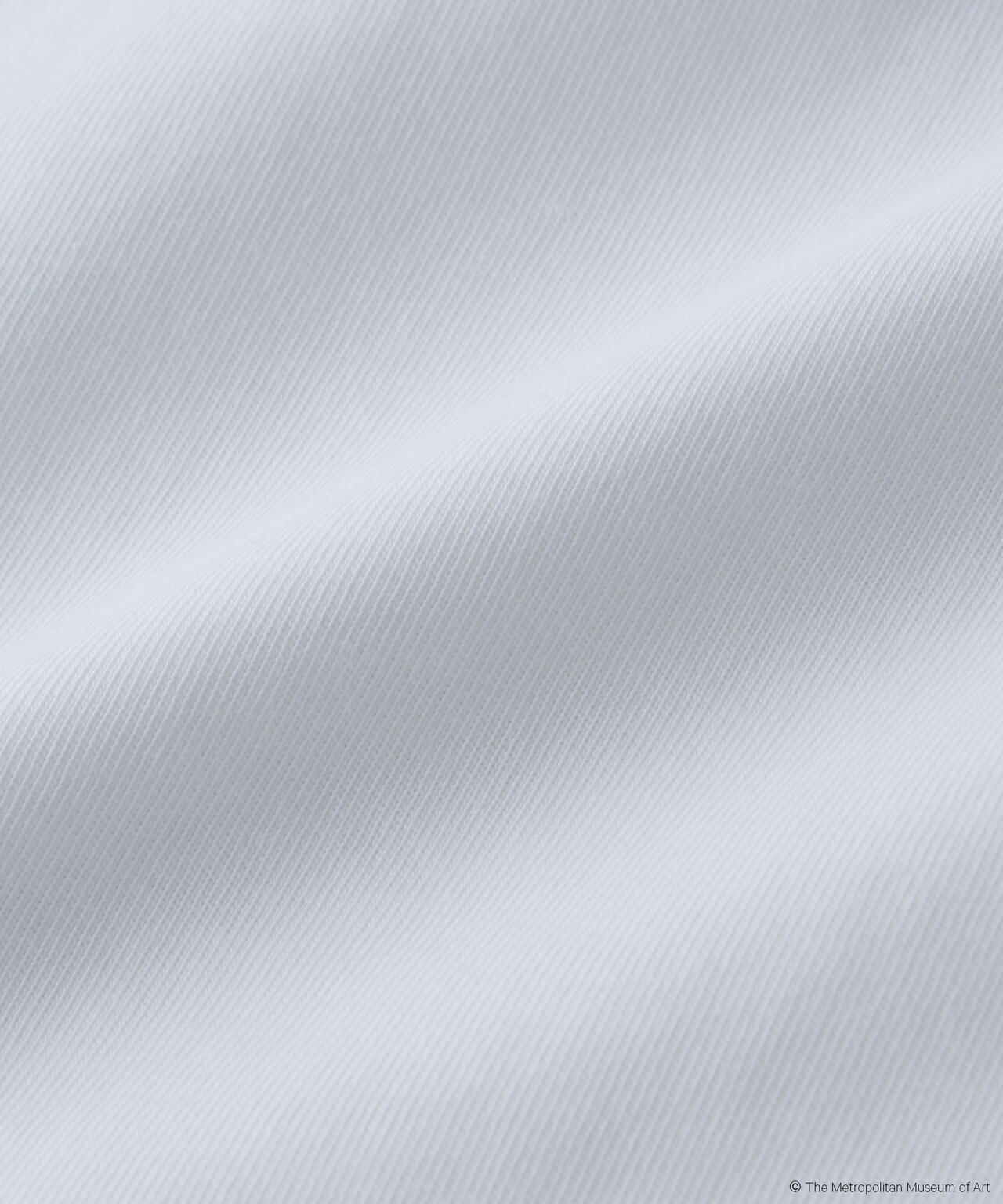 The Met 別注ロートレックTシャツ
