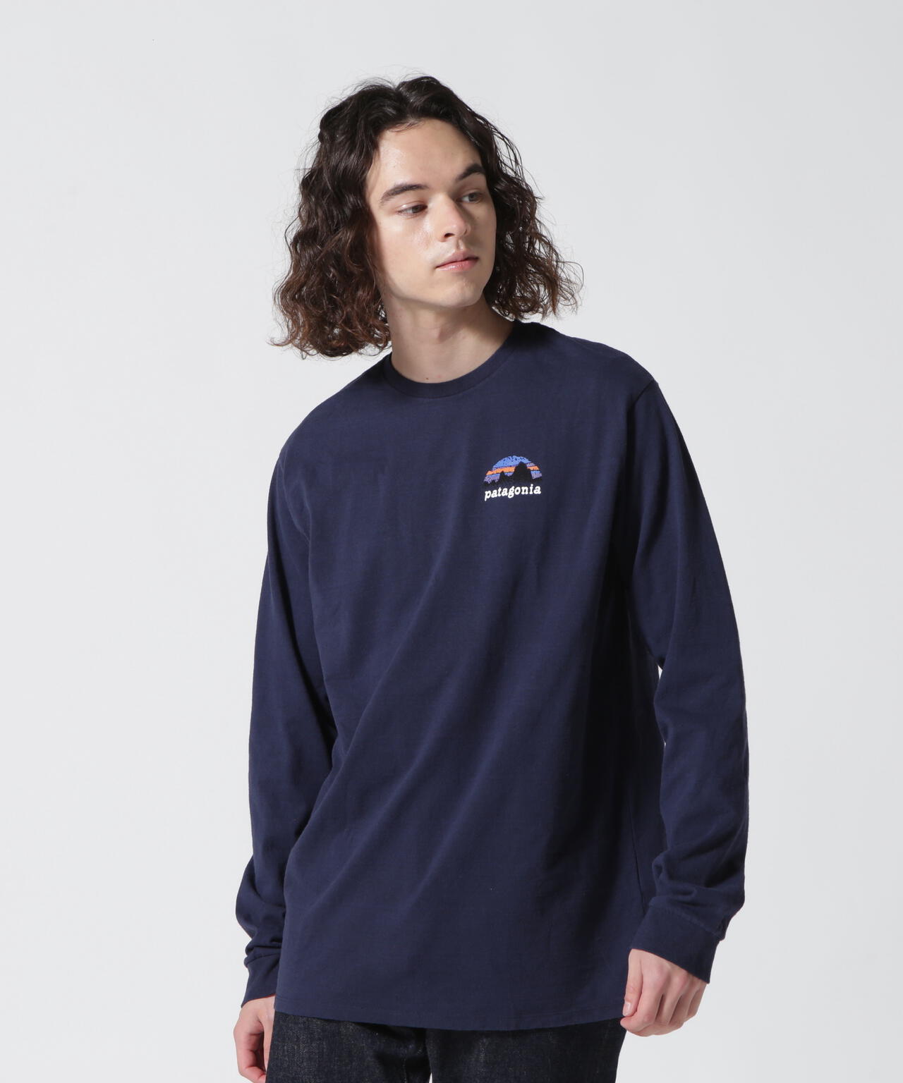 Patagonia/パタゴニア　ロングスリーブ・ステンシル・レスポンシビリティー