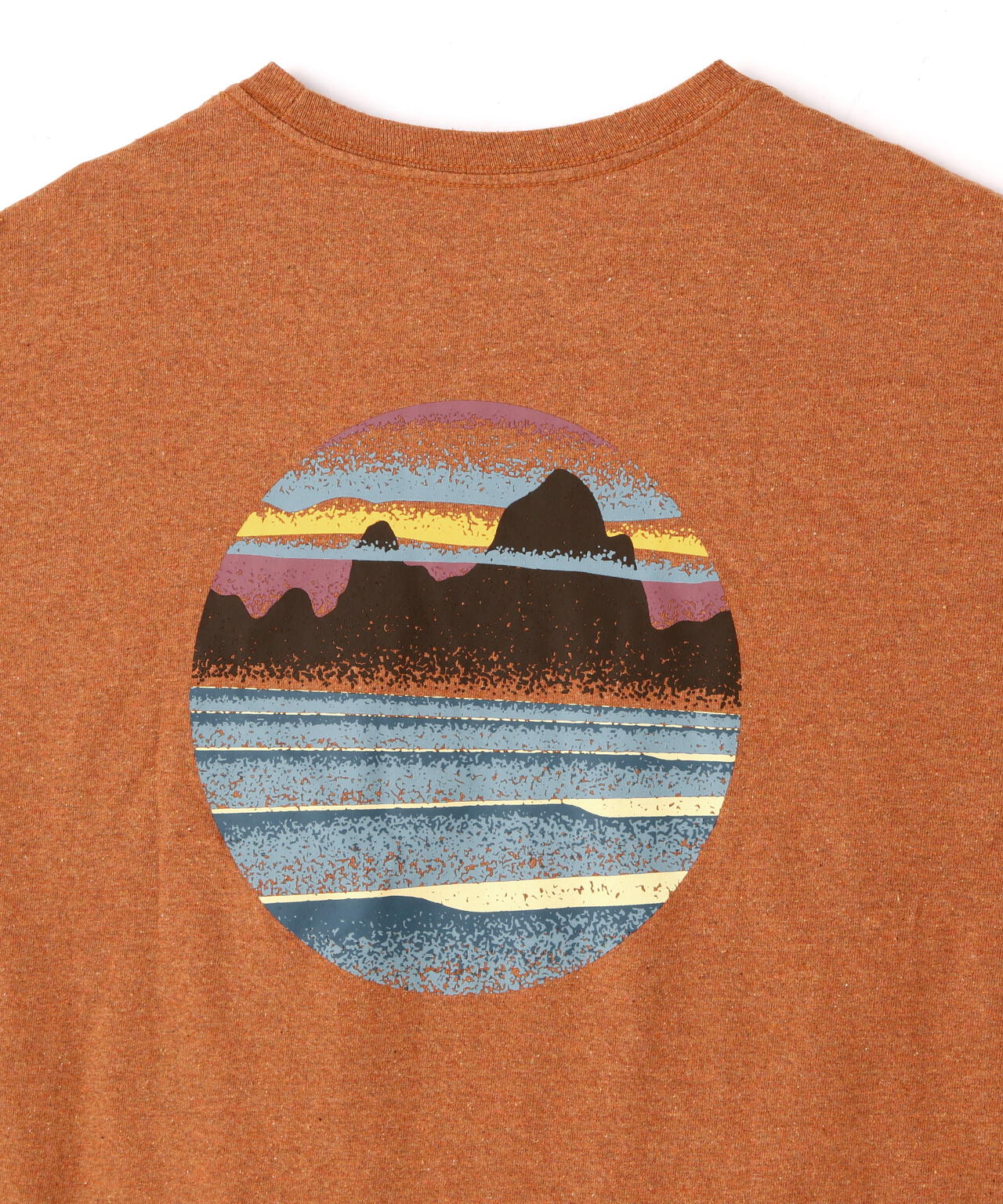 Patagonia/パタゴニア　メンズ・スカイライン・ステンシル・レスポンシビリティー 37673