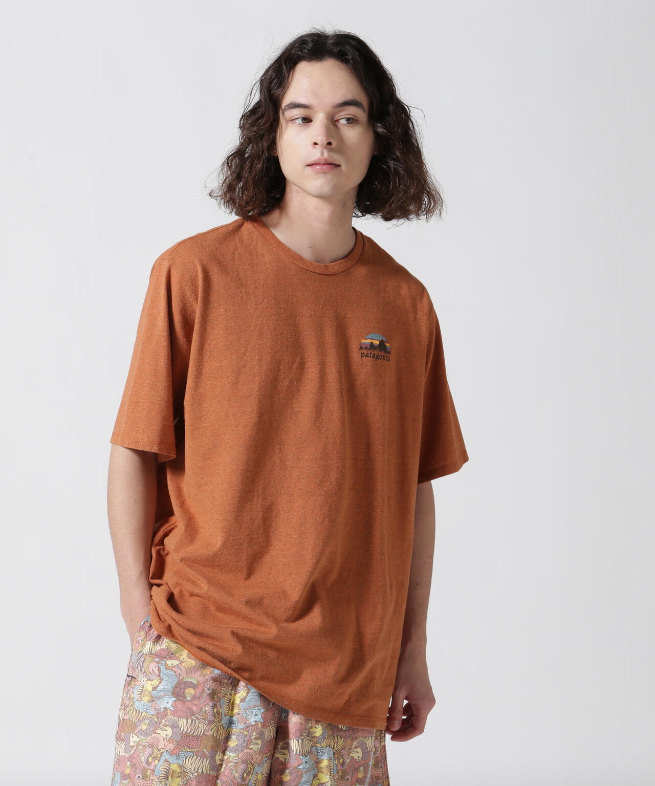 Patagonia/パタゴニア　メンズ・スカイライン・ステンシル・レスポンシビリティー 37673