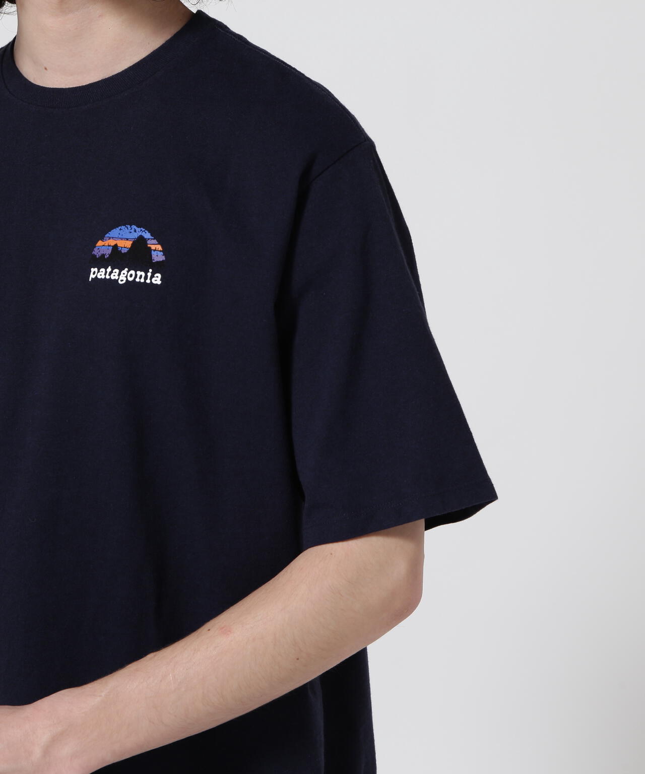 Patagonia/パタゴニア　メンズ・スカイライン・ステンシル・レスポンシビリティー 37673