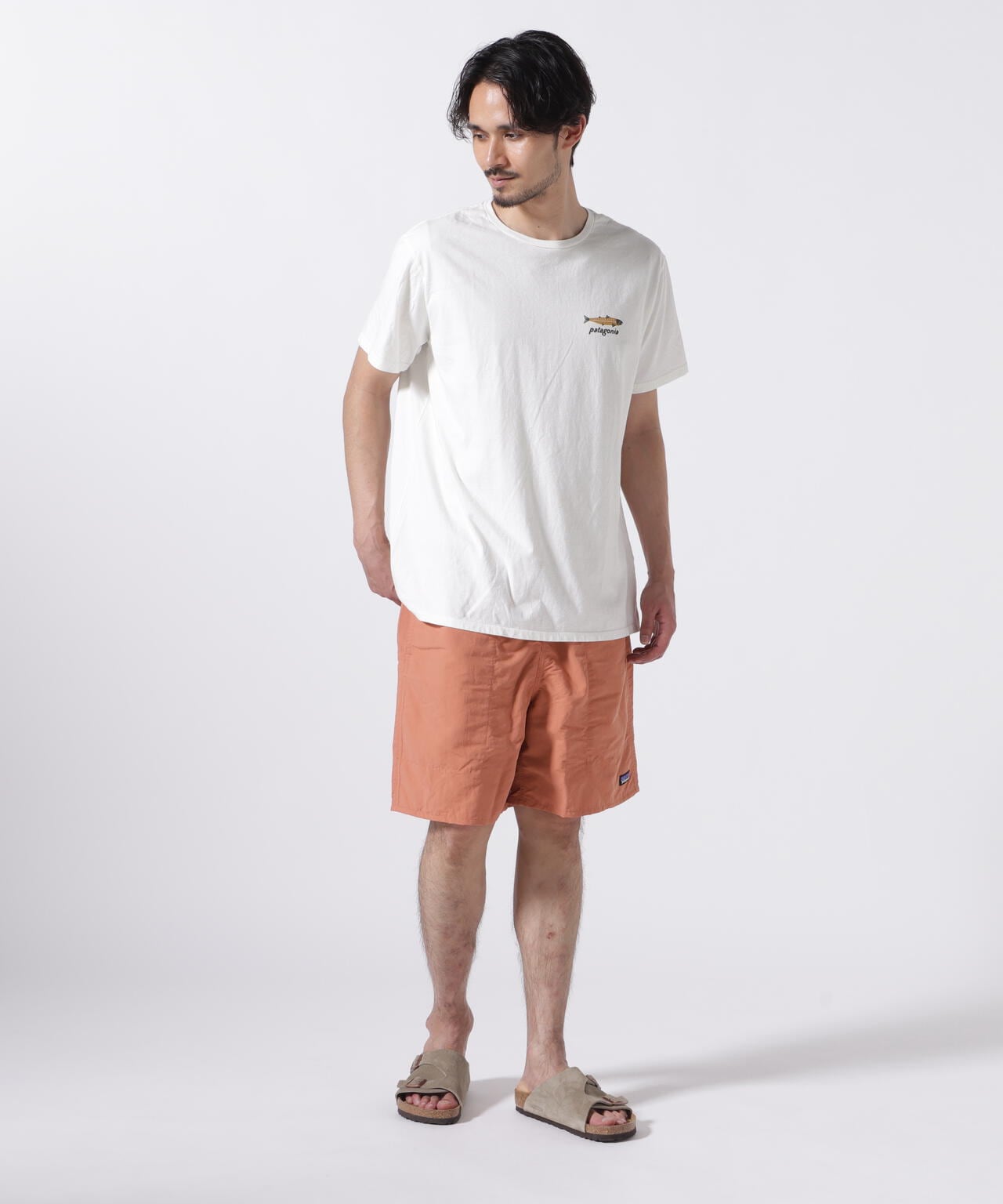 Patagonia/パタゴニア　ダイブ＆ダイン・オーガニック・Tシャツ