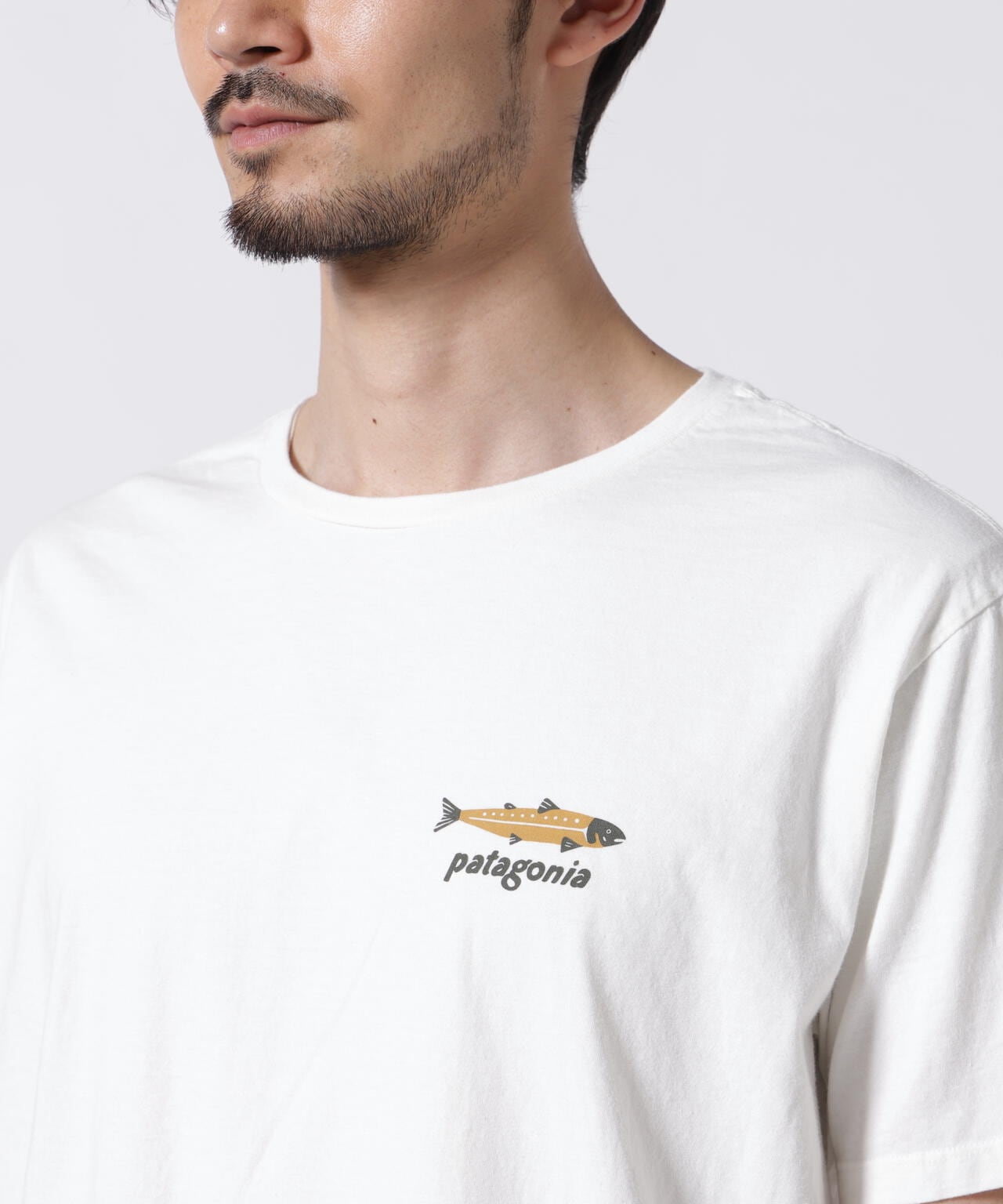 Patagonia/パタゴニア　ダイブ＆ダイン・オーガニック・Tシャツ