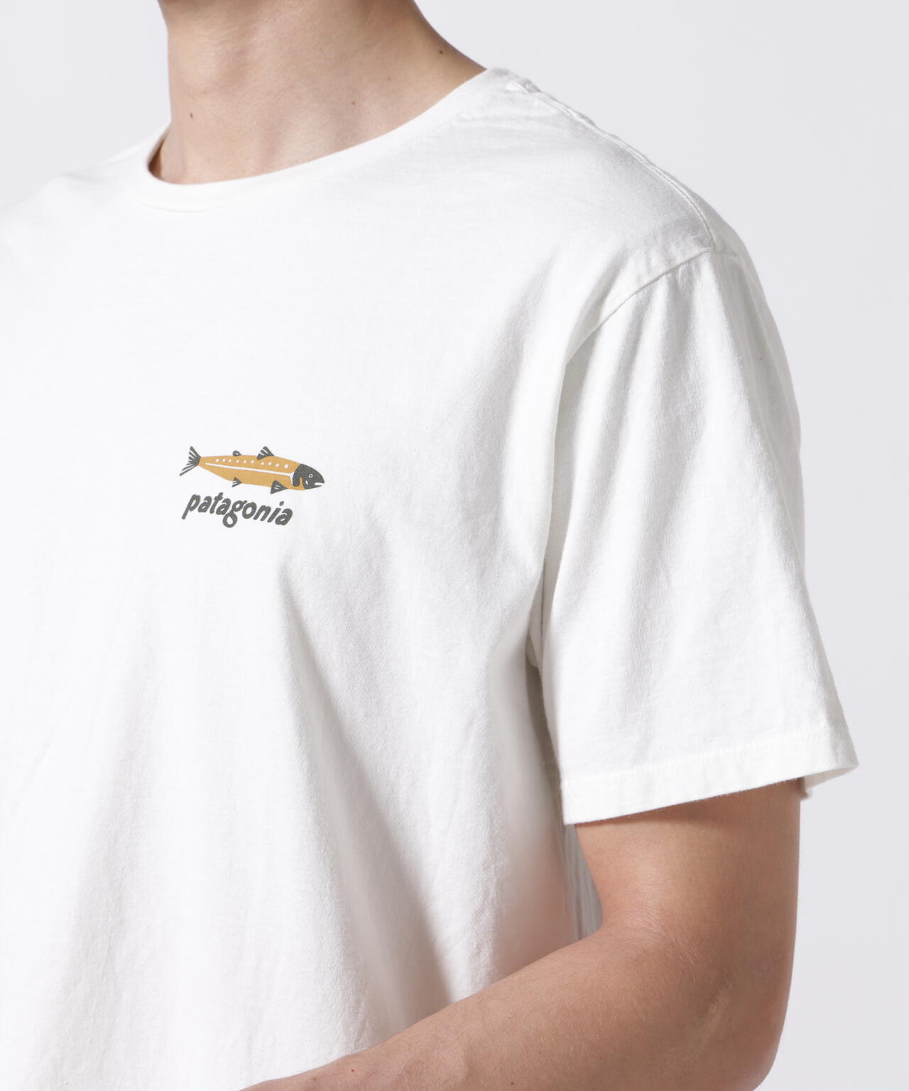 Patagonia/パタゴニア　ダイブ＆ダイン・オーガニック・Tシャツ