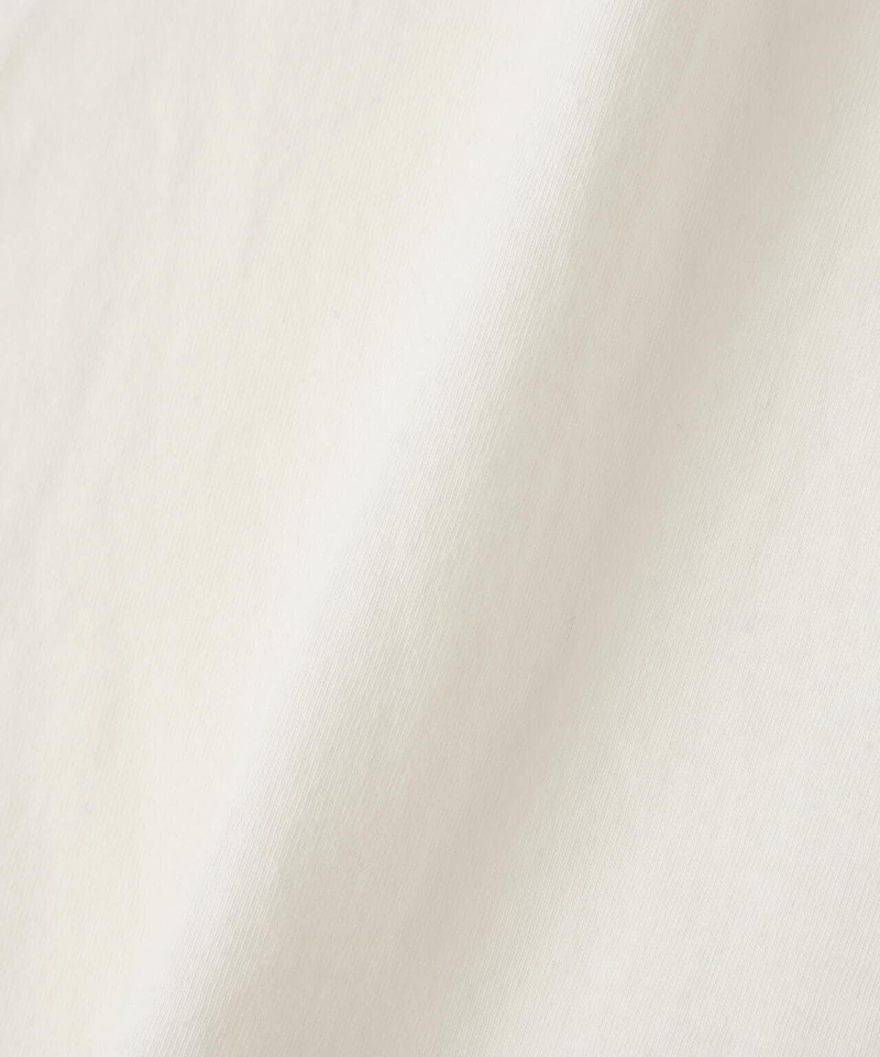 Patagonia/パタゴニア　ダイブ＆ダイン・オーガニック・Tシャツ