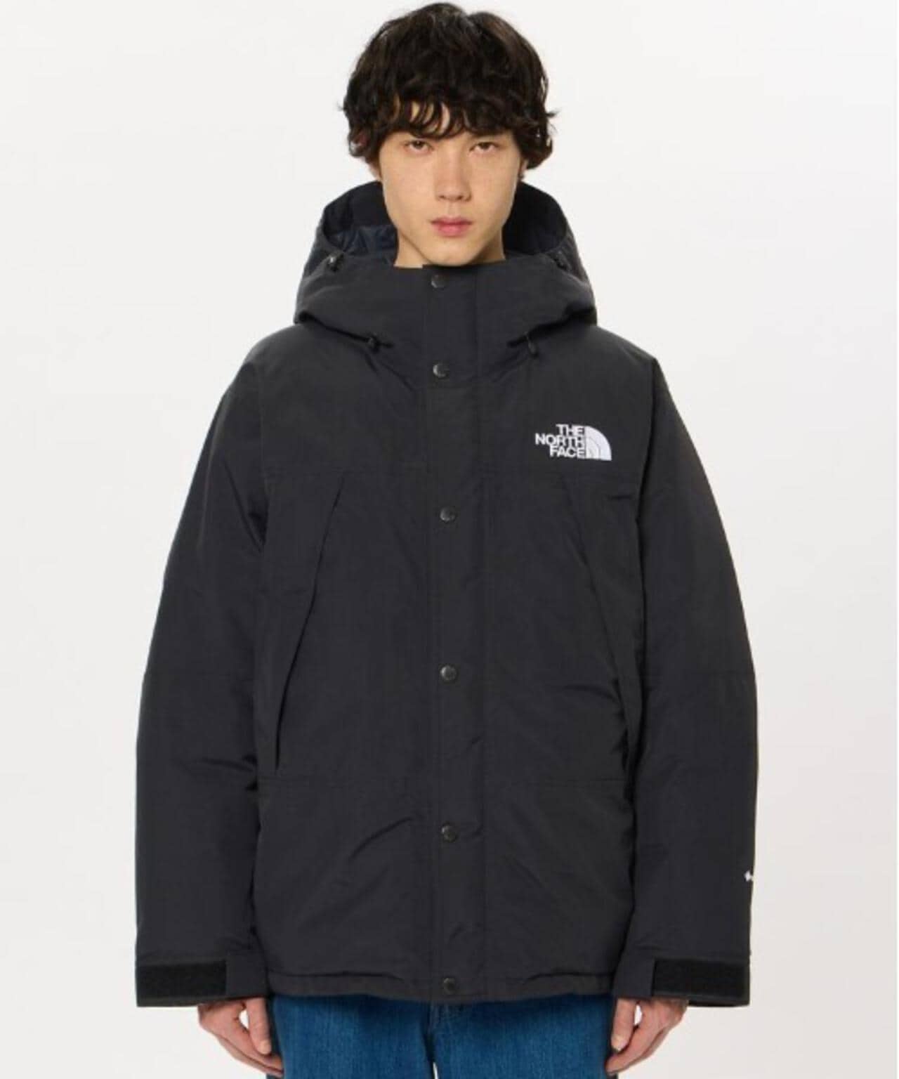 THE NORTH FACE /ザ・ノース・フェイス  Mountain Down Jacket