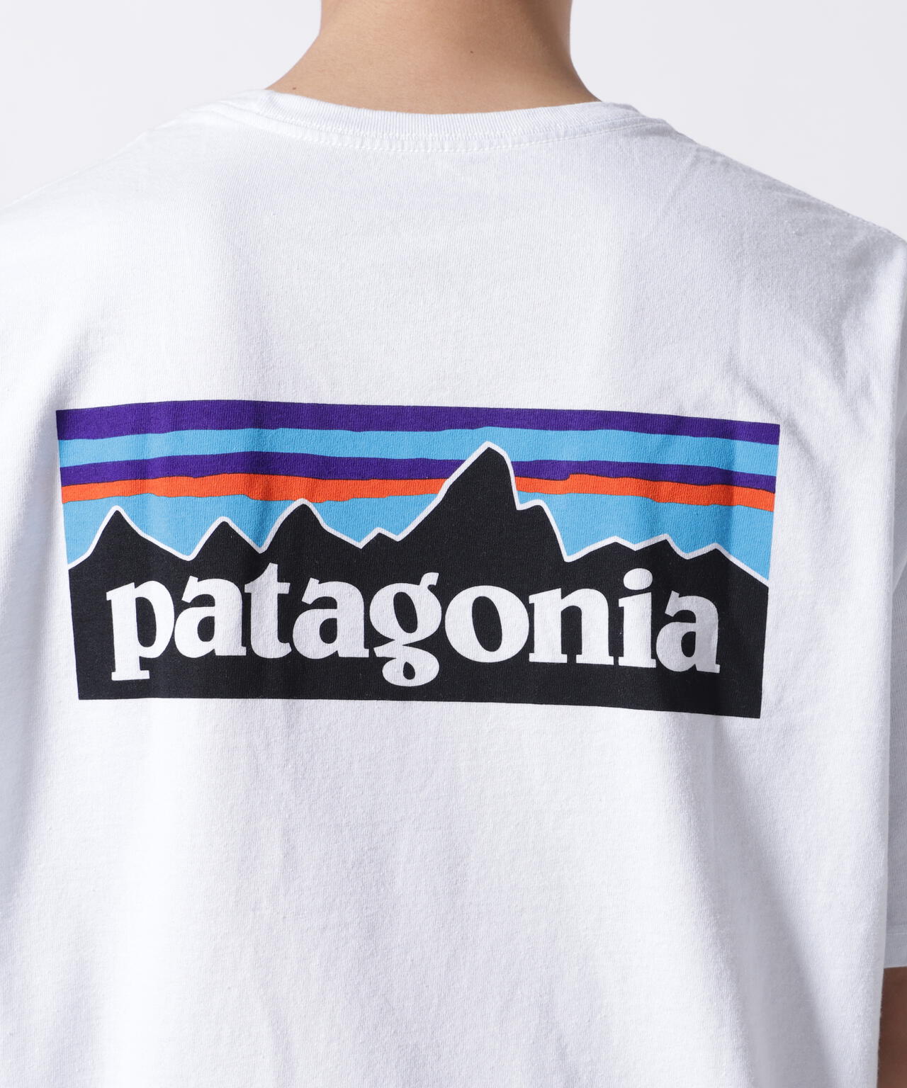Patagonia/パタゴニア  メンズ・P-6ロゴ・レスポンシビリティー