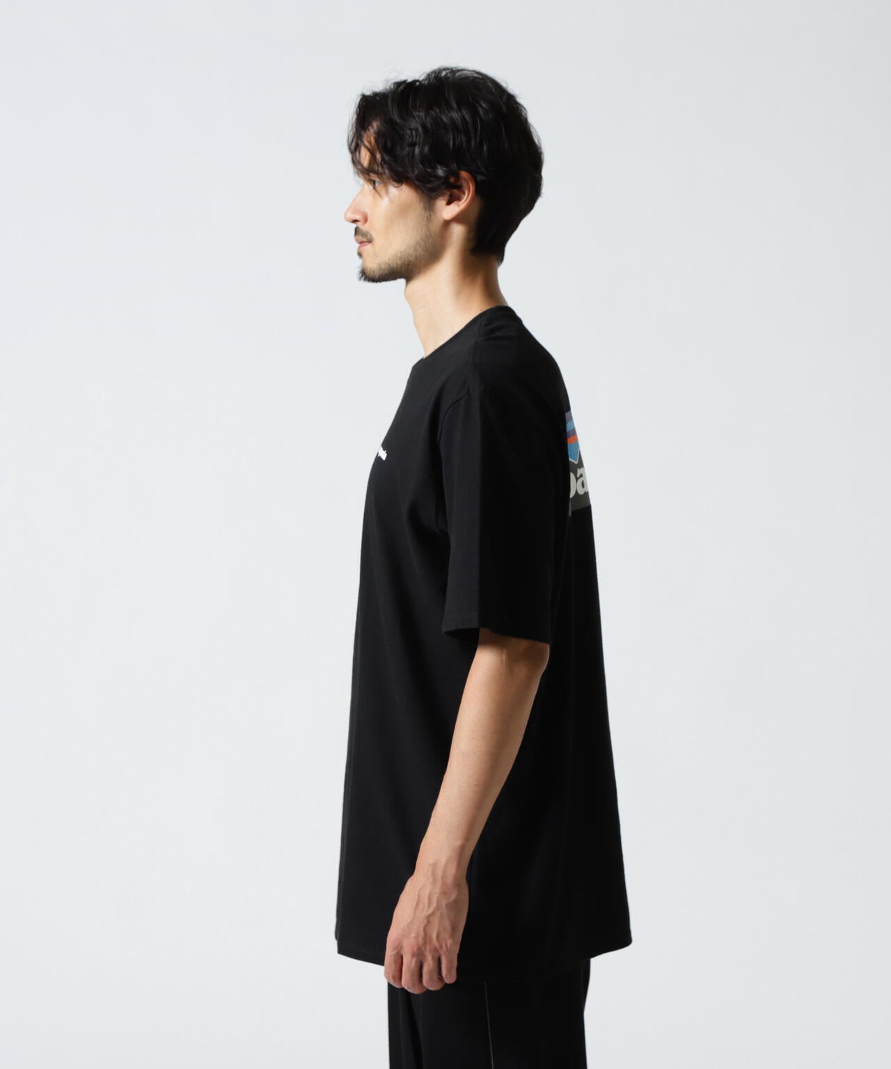 Patagonia/パタゴニア　メンズ・P-6ロゴ・レスポンシビリティー