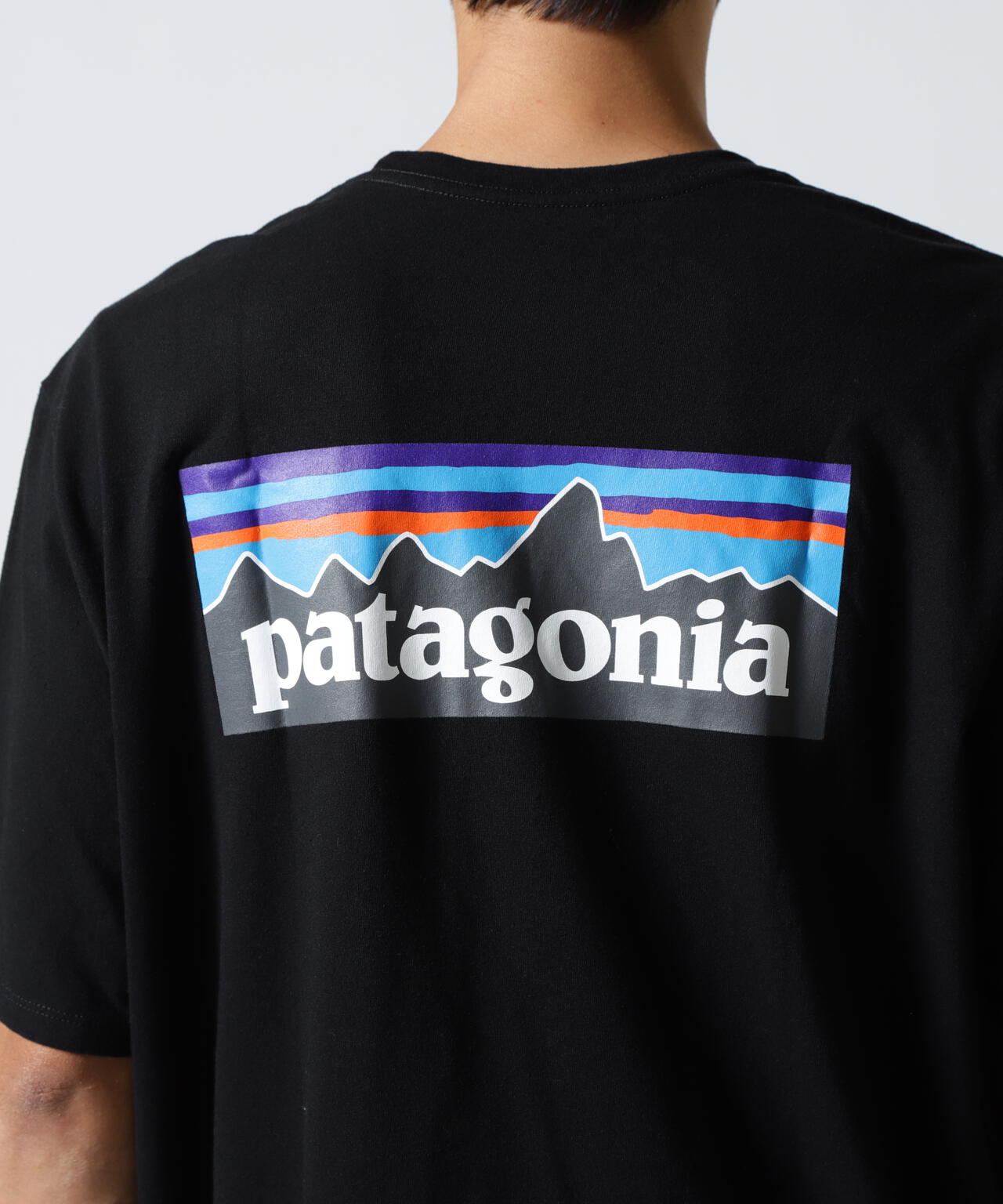 Patagonia/パタゴニア　メンズ・P-6ロゴ・レスポンシビリティー